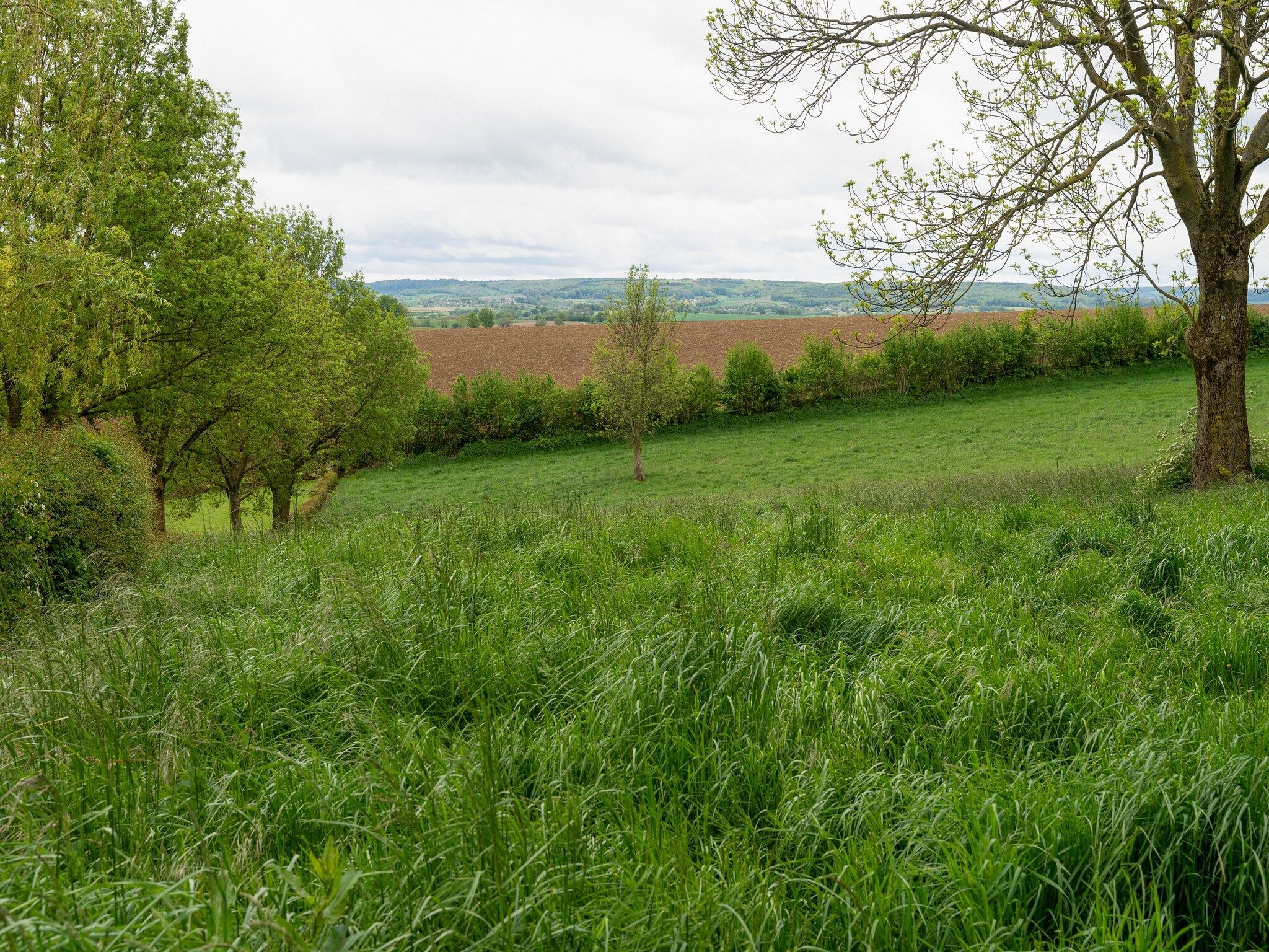 De omgeving van Valleyview Cottages - NR14 in Voerendaal