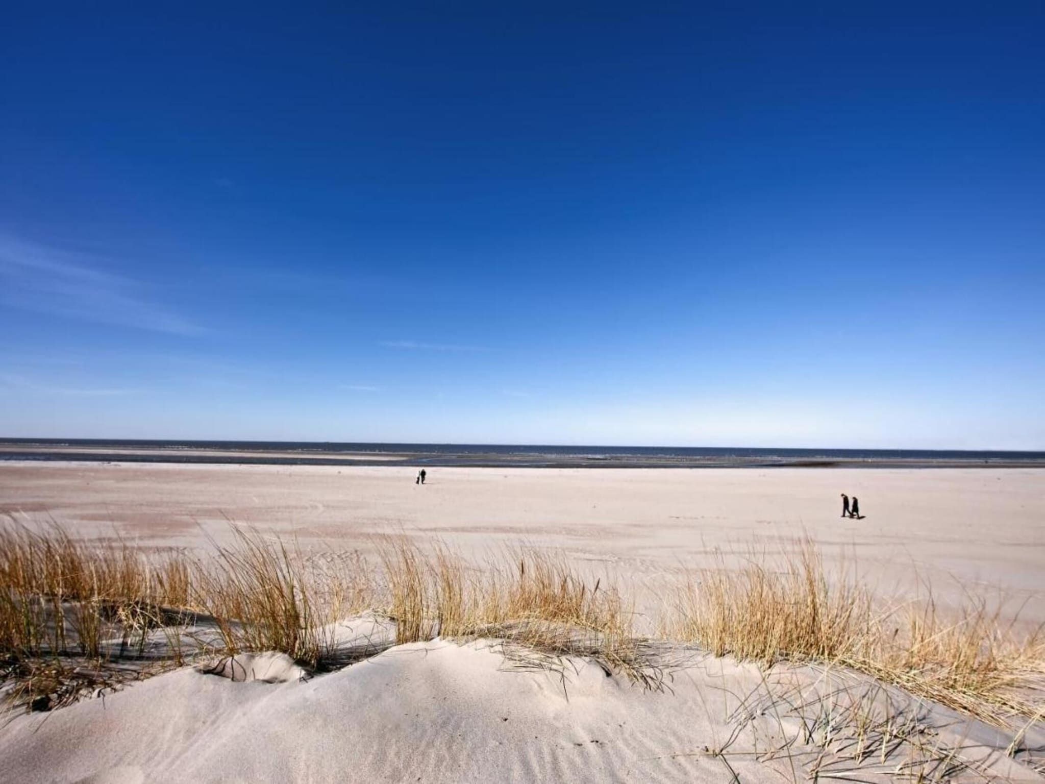 De omgeving van Fort den Haak - Chalet 1 tm 15  hond in Vrouwenpolder
