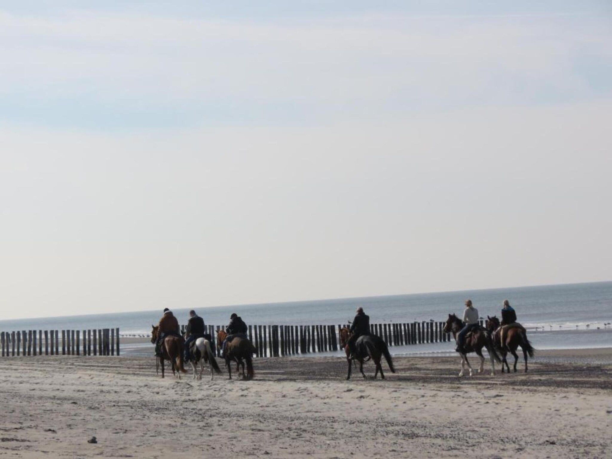 Horizon 3 in Renesse - Foto 36 van 40
