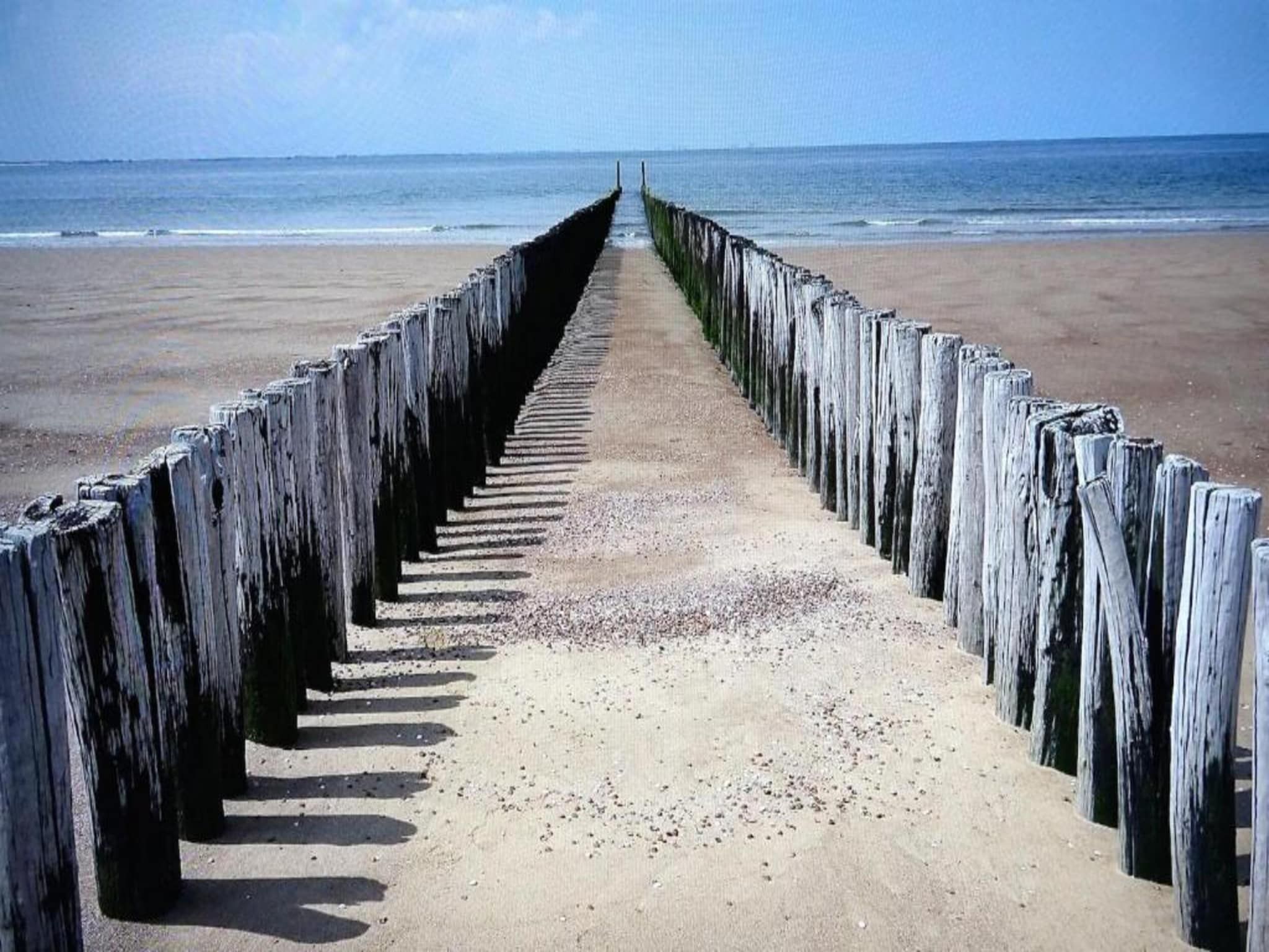 De omgeving van Noordzee Résidence Dishoek 14 in Kamperland