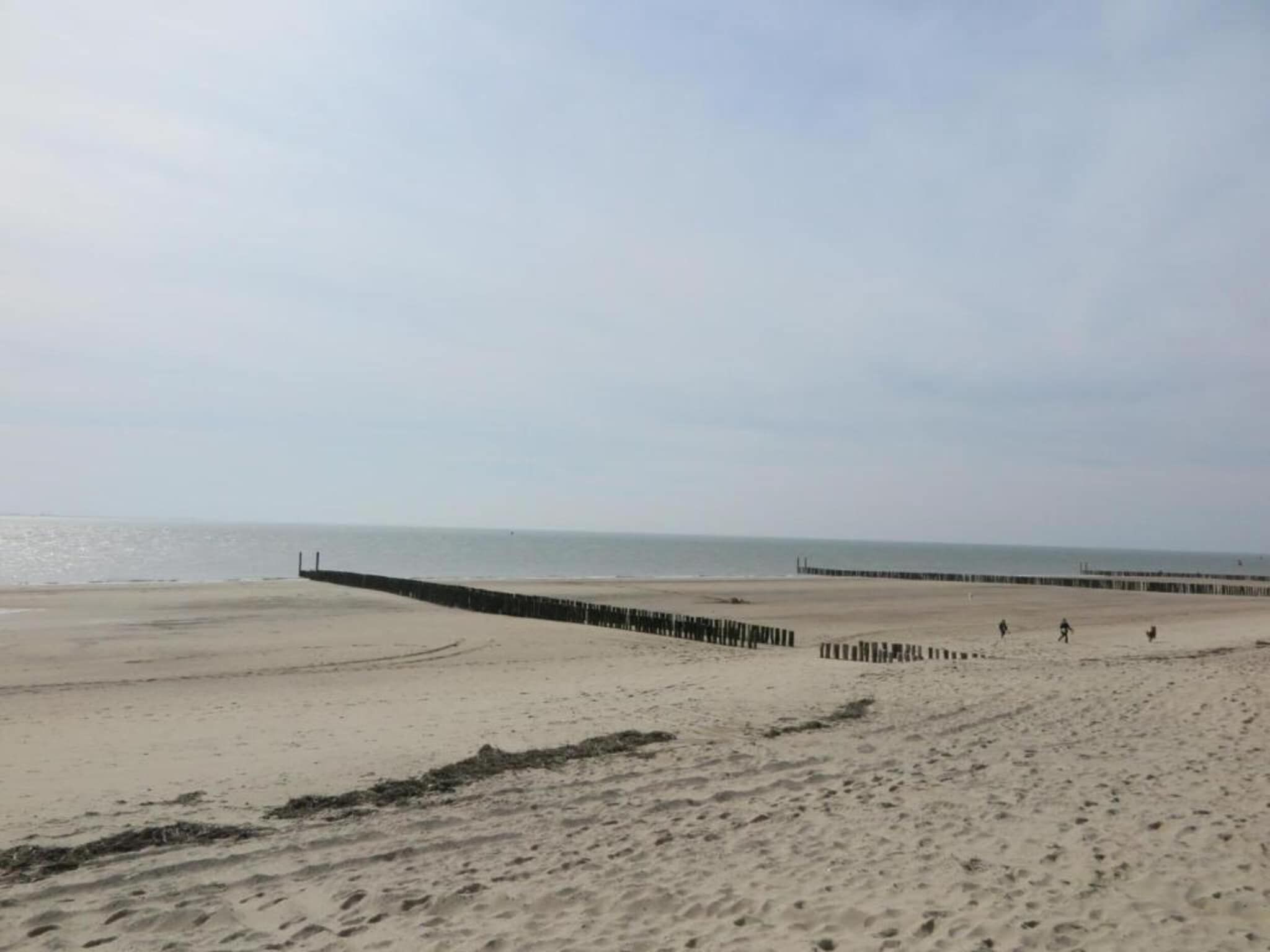 De omgeving van Noordzee Résidence Dishoek 14 in Kamperland