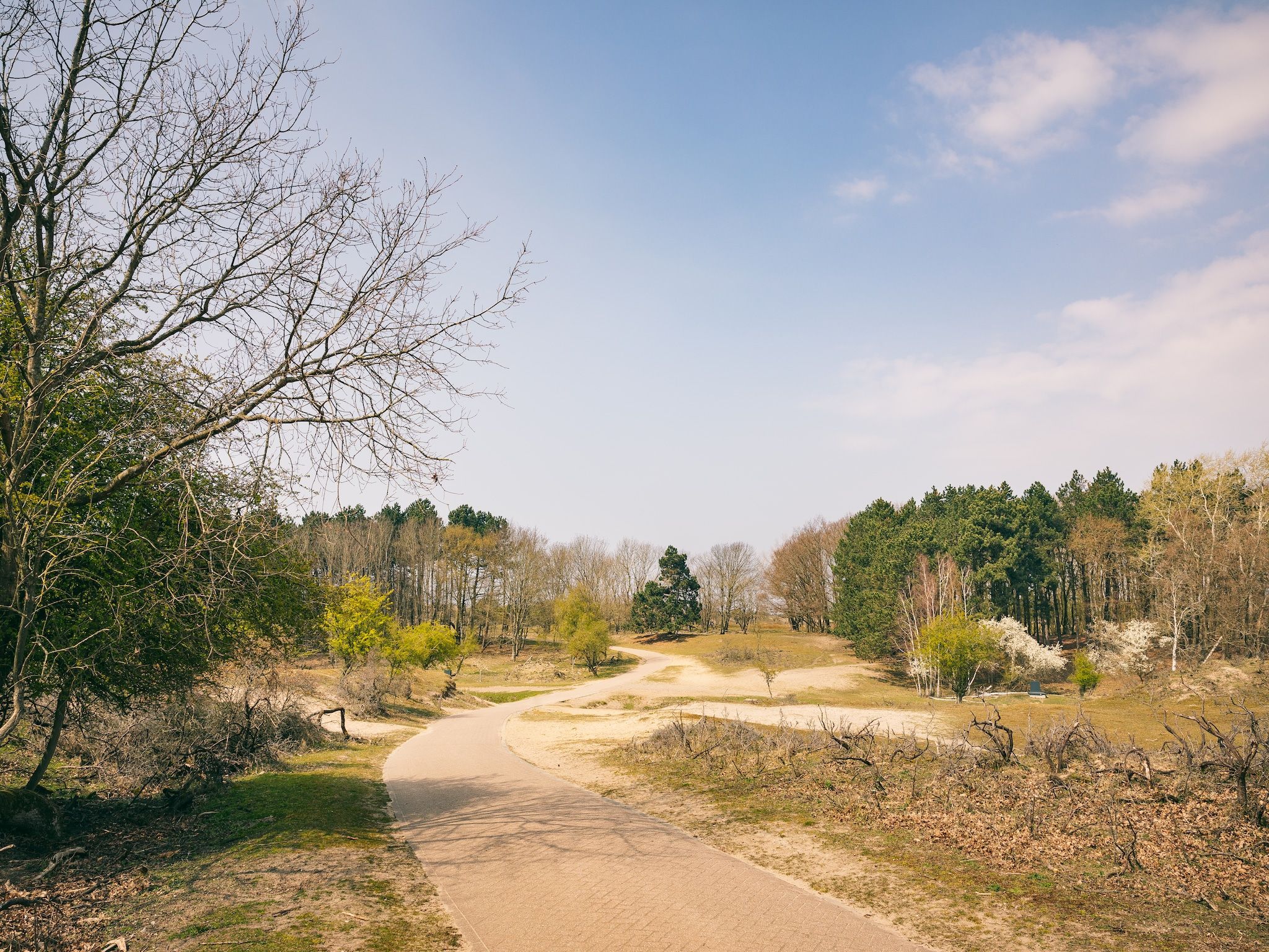 De omgeving van Duinresort Dunimar 1 in Noordwijkerhout