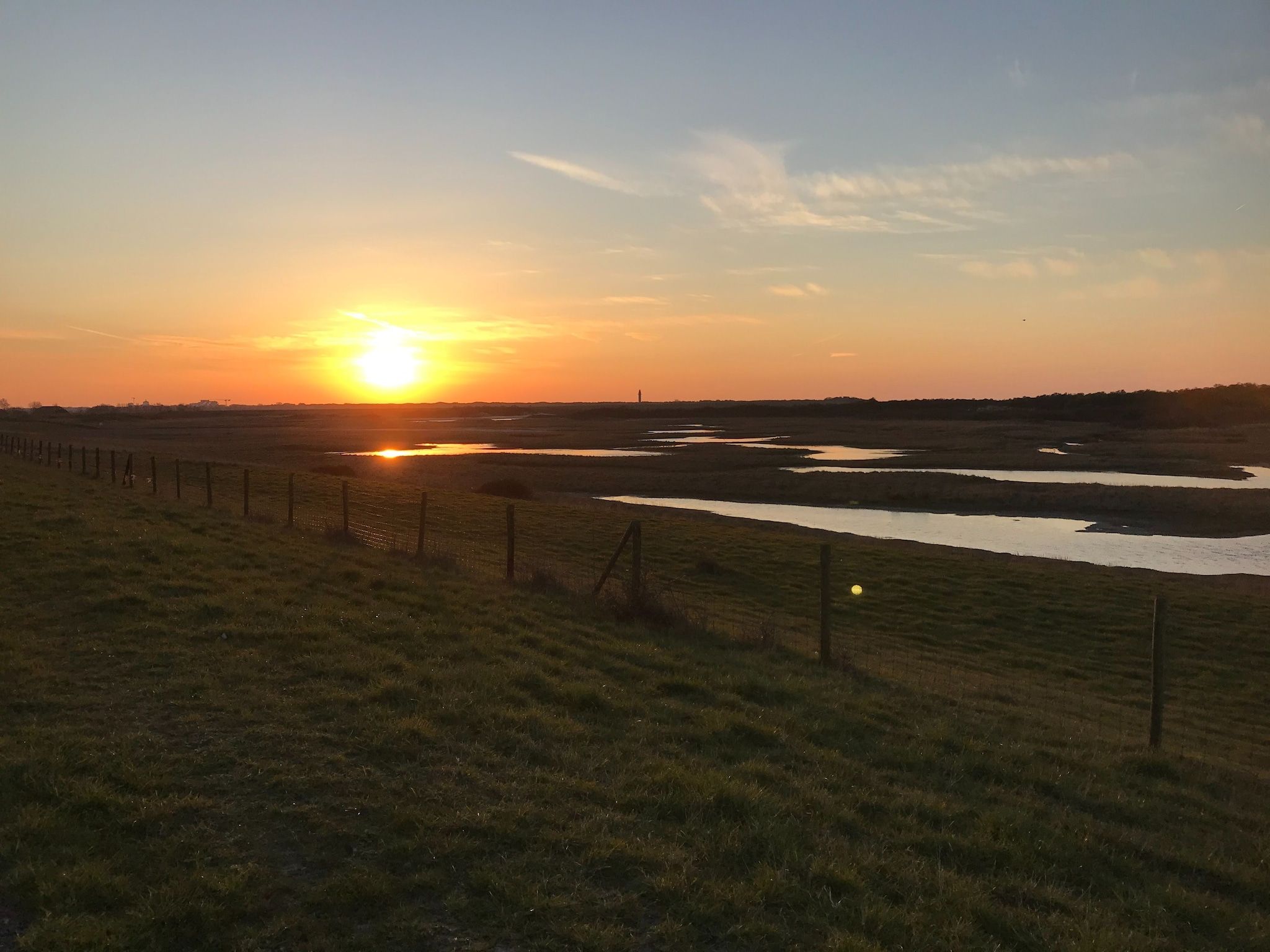Sfeerbeeld van Lepelblad 44 in Nieuwvlietbad