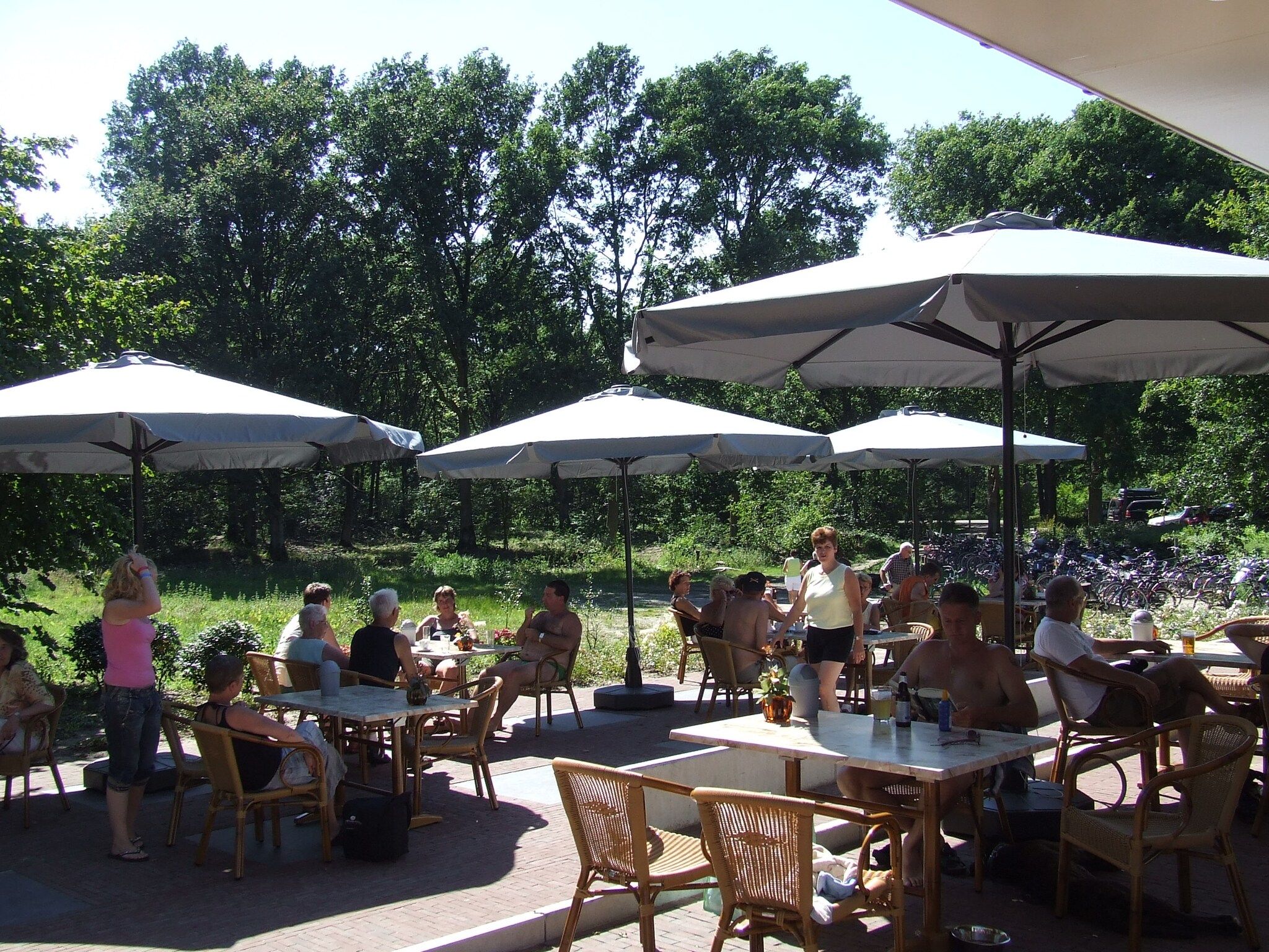 Parkfaciliteiten bij Vakantiepark Herperduin 16 in Herpen