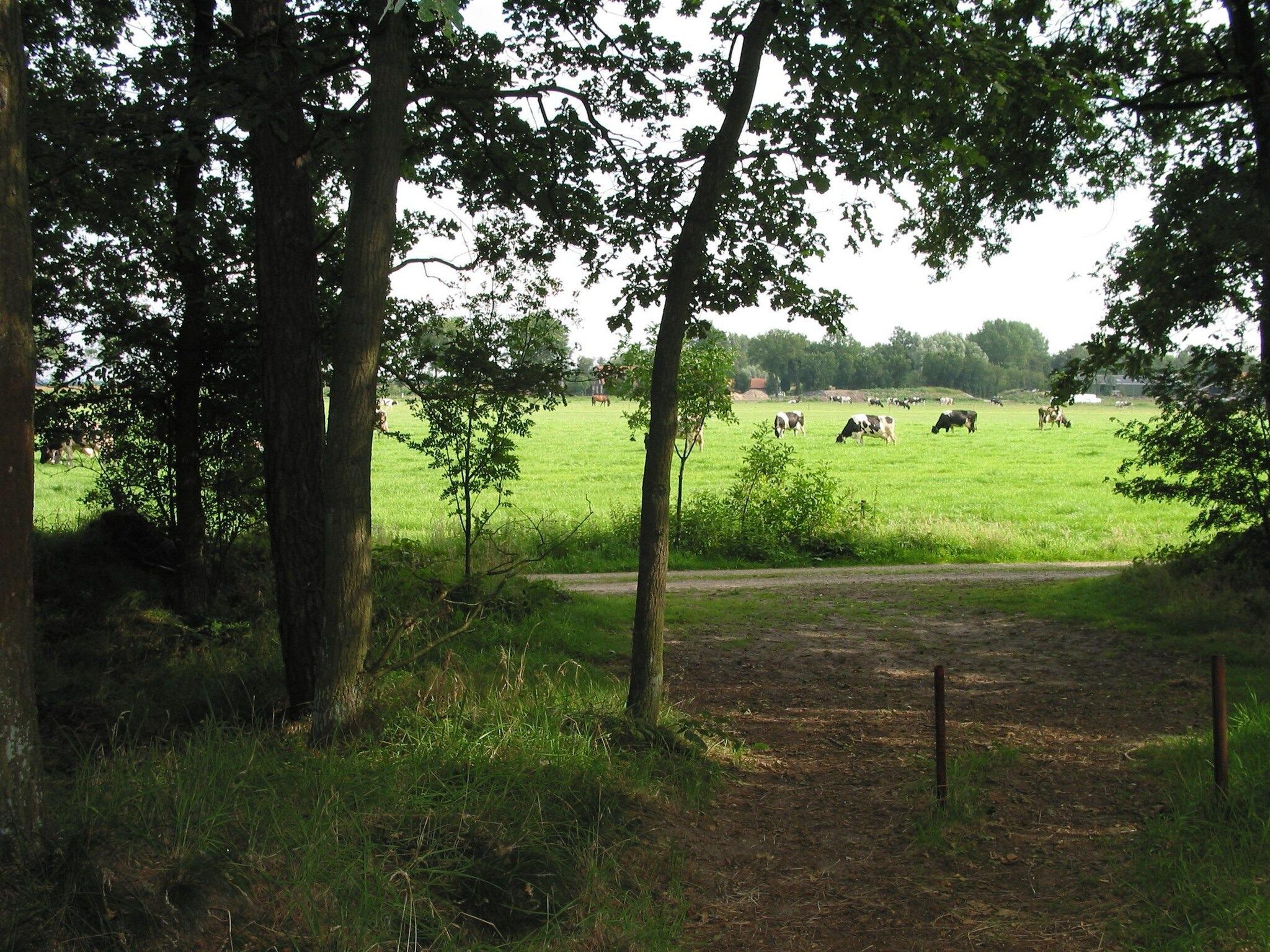 Parkfaciliteiten bij Vakantiepark Herperduin 16 in Herpen