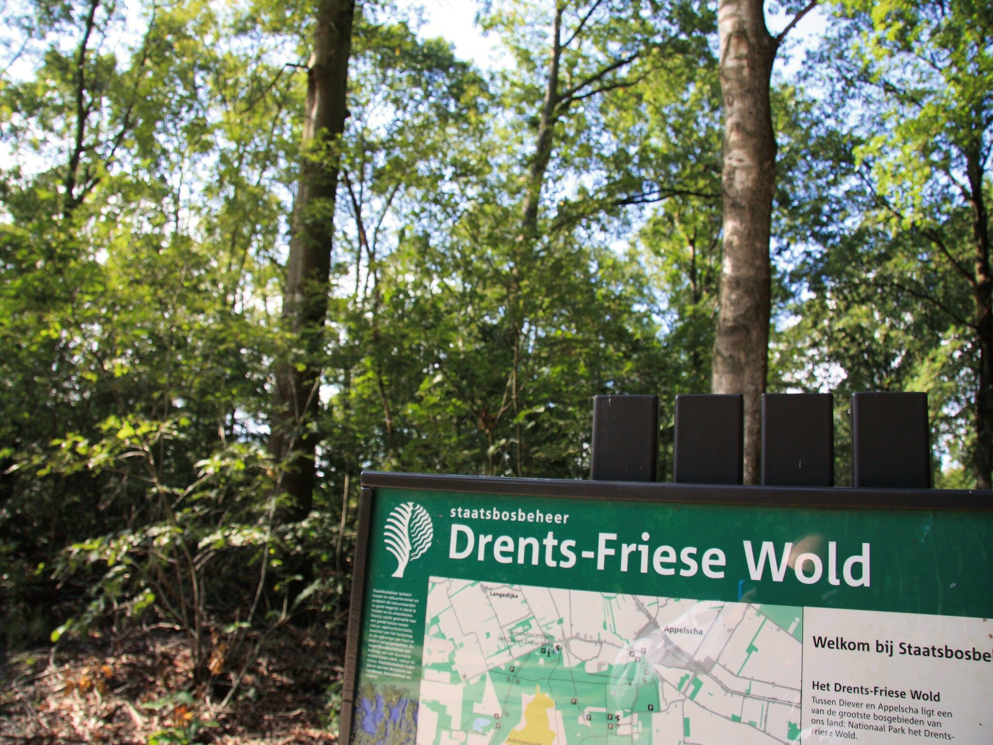 Sfeerbeeld van Het Drentse Wold 5 in Hoogersmilde