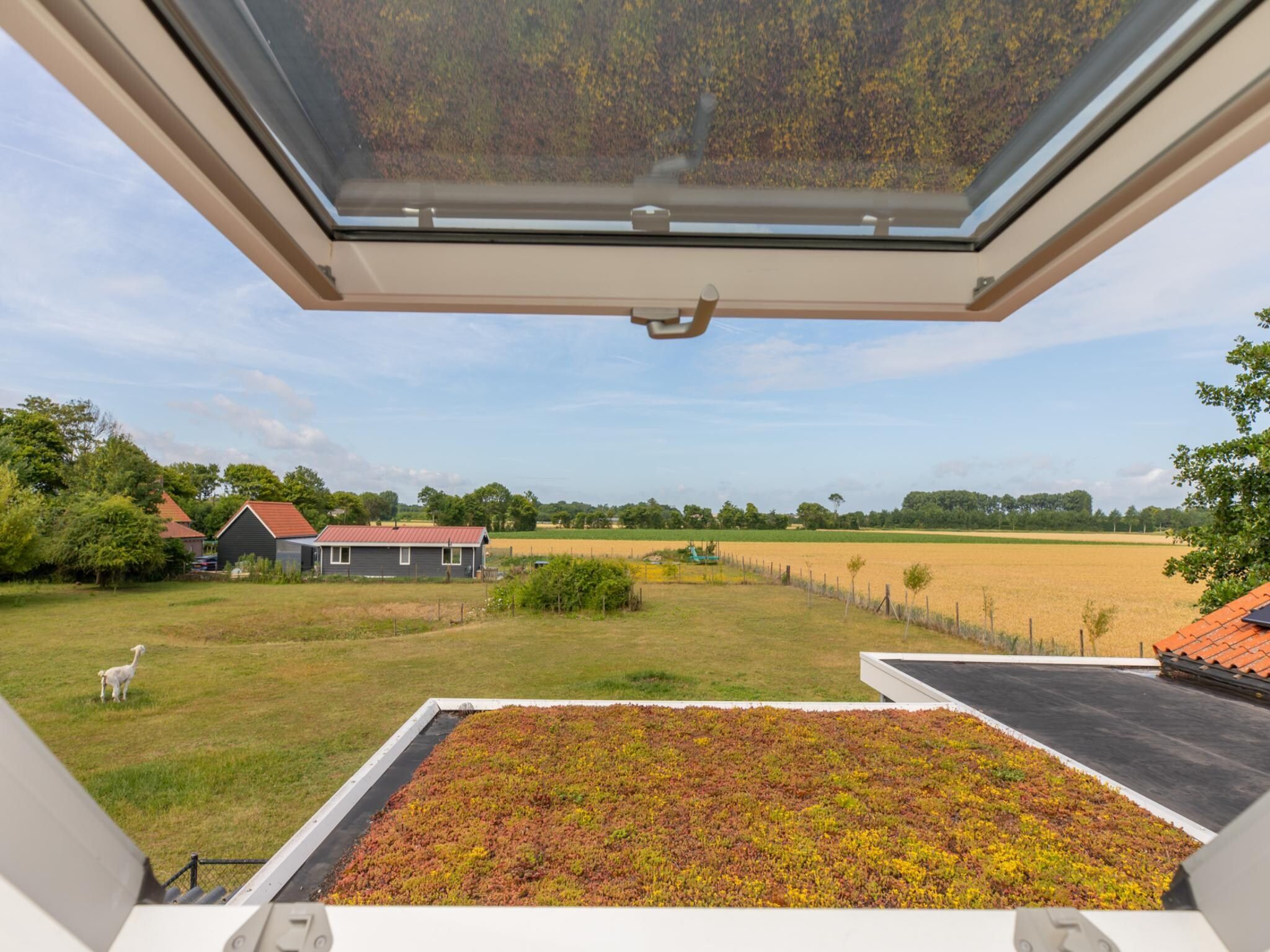 Het uitzicht vanaf Vakantiehuis Groeneweg 3 'Jikkemien in Koudekerke