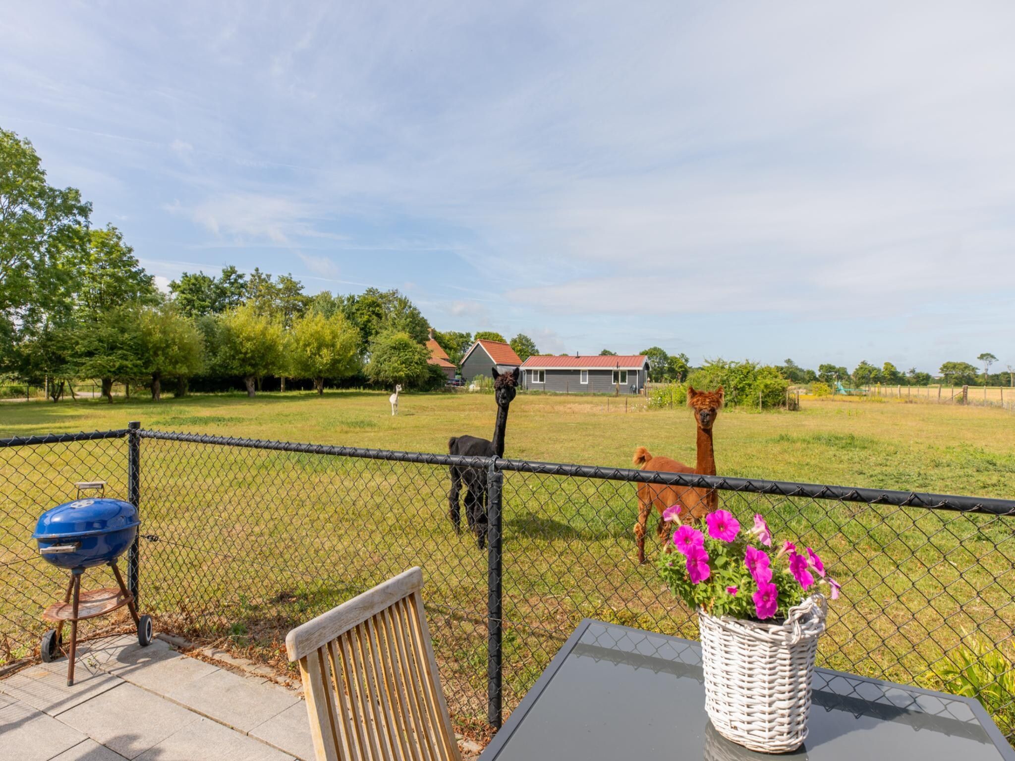De tuin van Vakantiehuis Groeneweg 3 'Jikkemien in Koudekerke