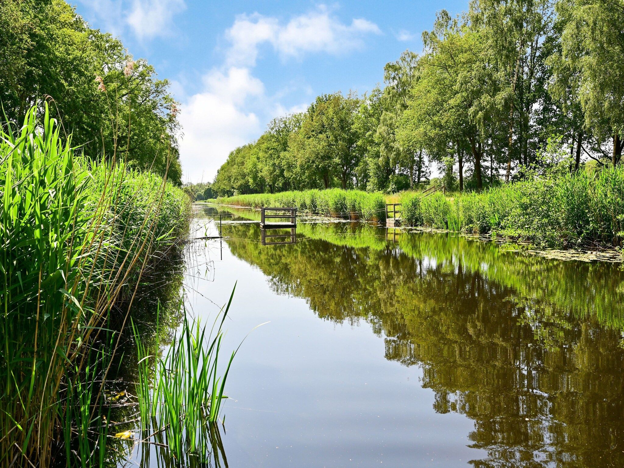 De omgeving van Uitzicht in Reutum