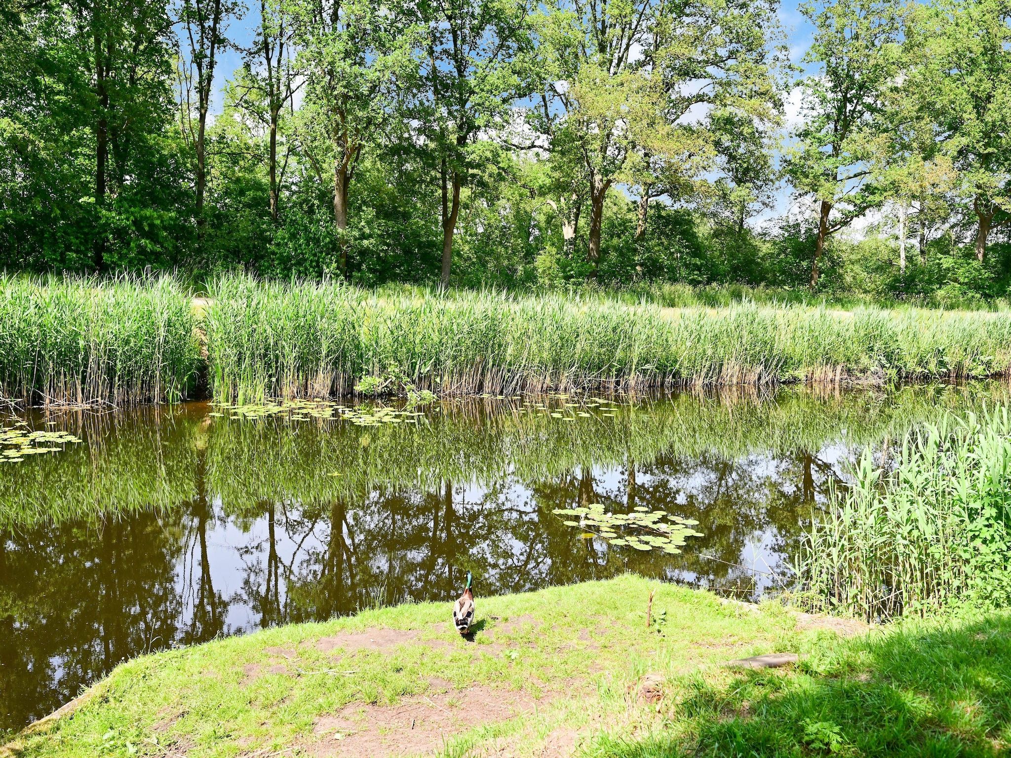 Uitzicht in Reutum - Foto 31 van 40