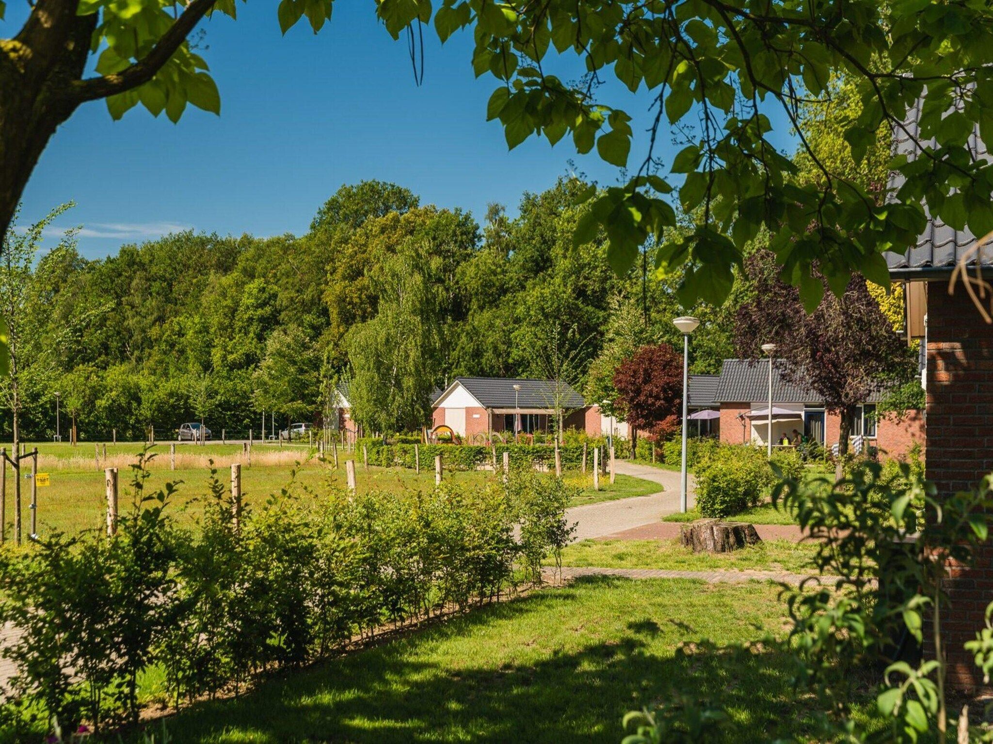 Vakantiepark Mölke 18 in Zuna - Foto 8 van 42