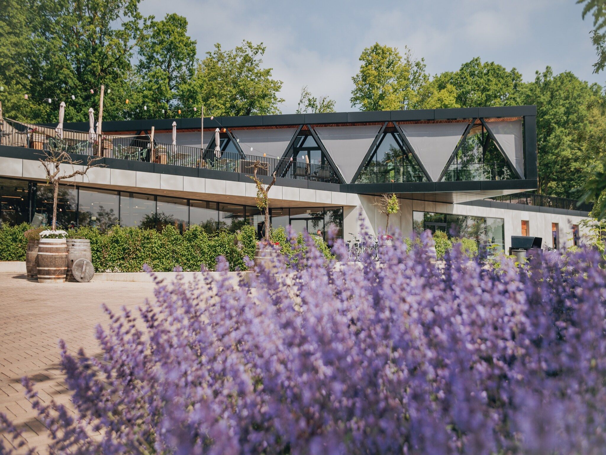 Parkfaciliteiten bij Resort Gulpen 7 in Gulpen