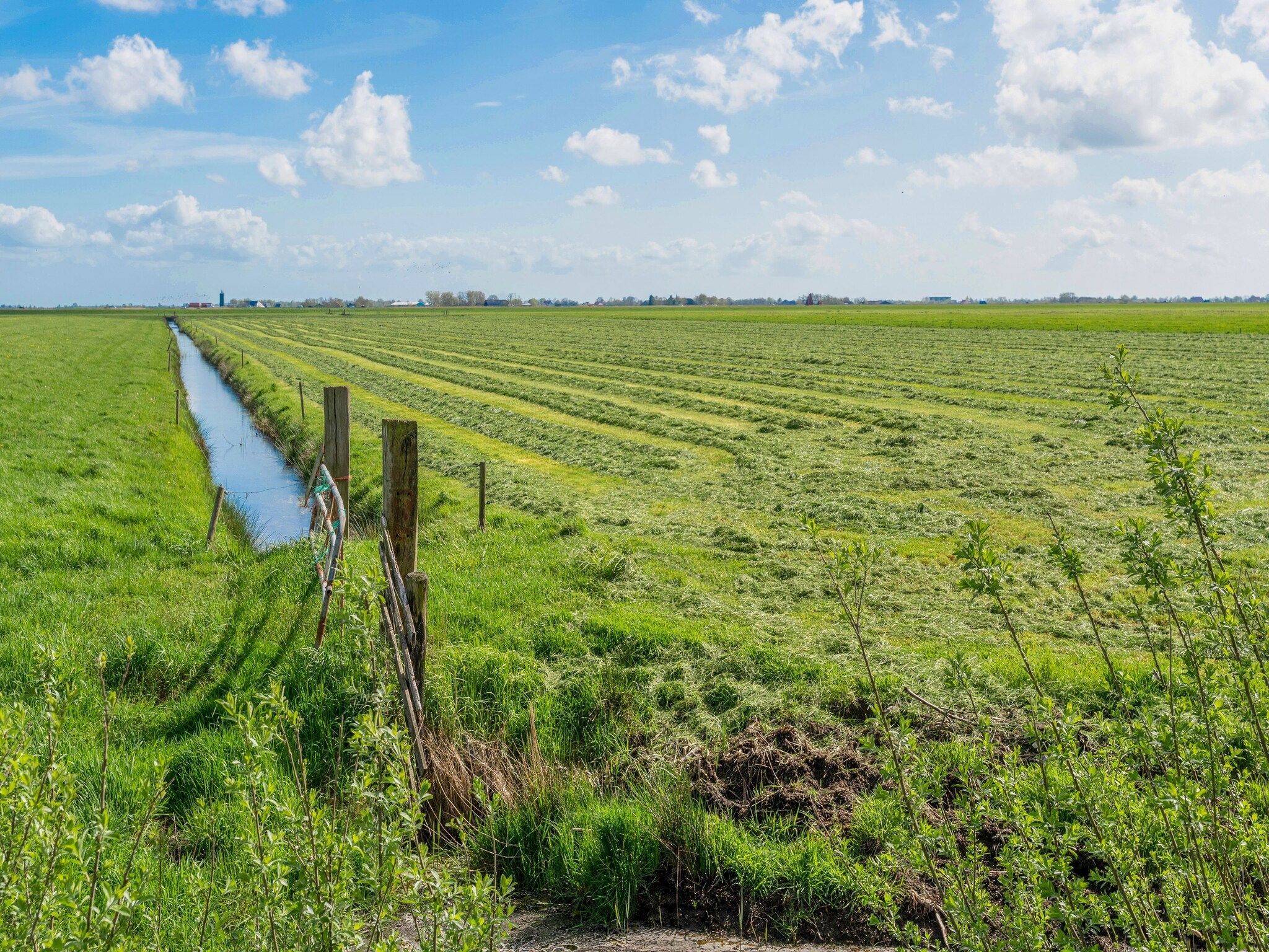 De omgeving van Knus chalet in Friesland met hottub in Suwald