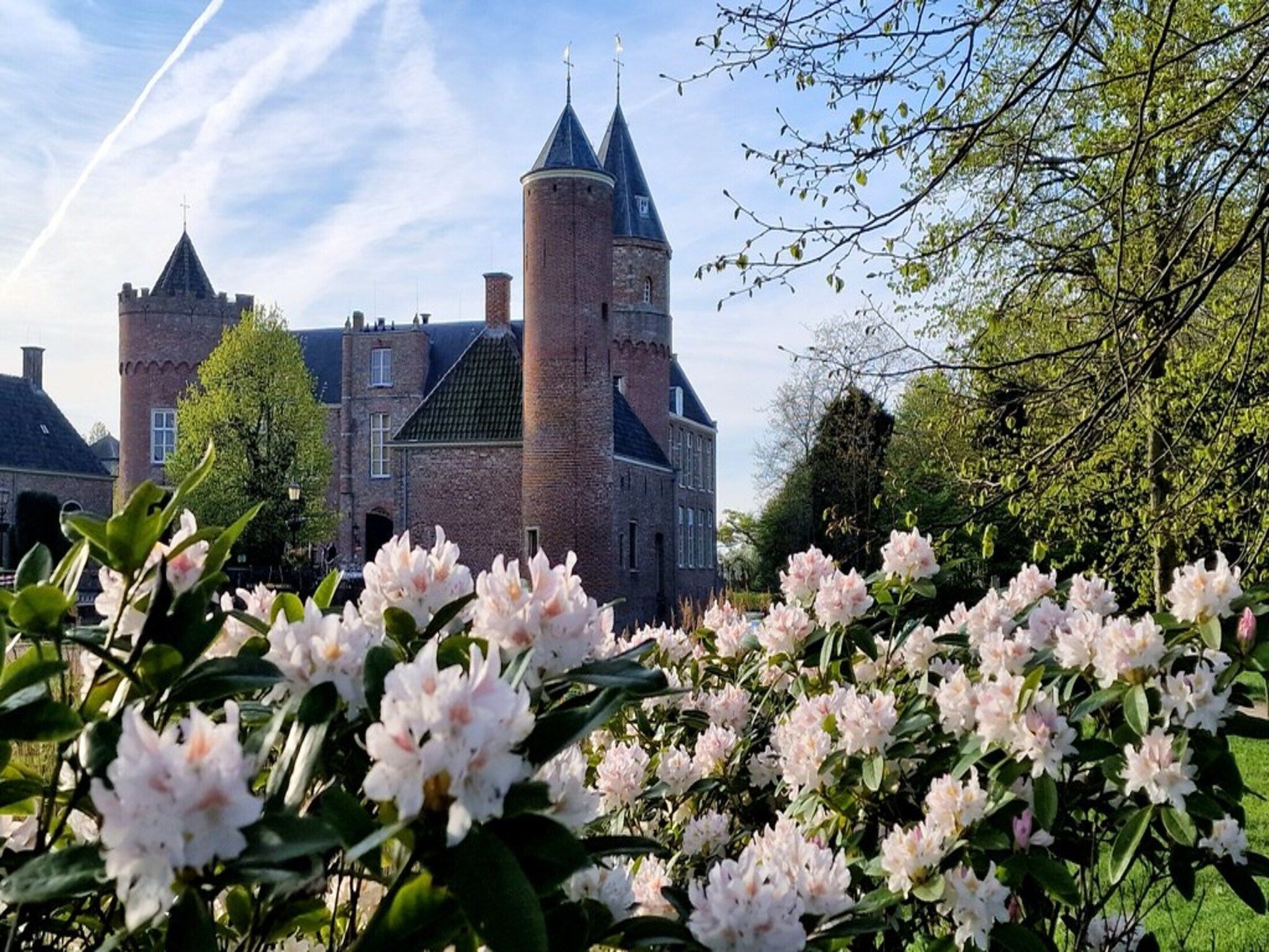 De omgeving van Zoutelandseweg 2 Biggekerke in Biggekerke