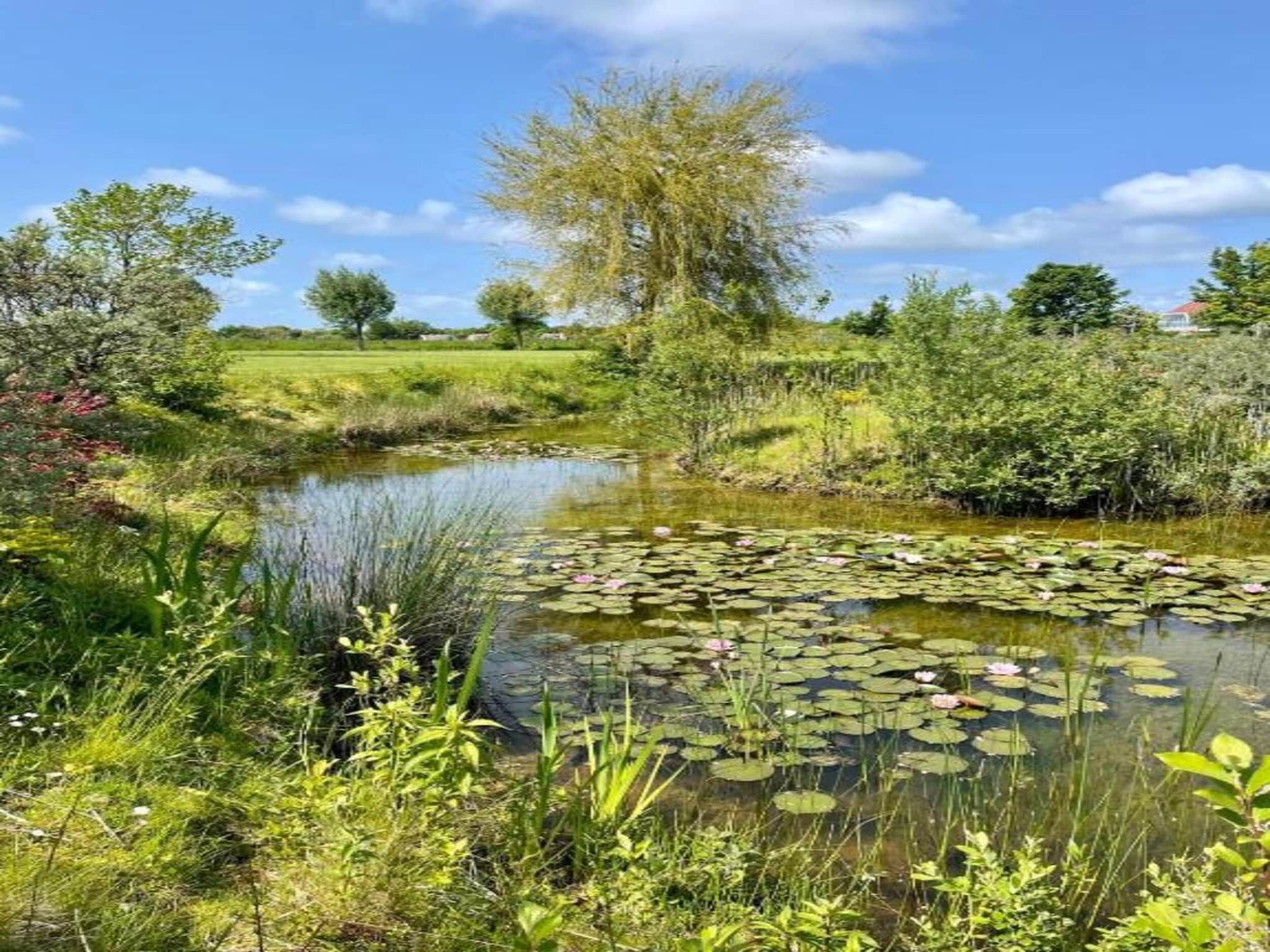 Oranjezon app 4p in Vrouwenpolder - Foto 12 van 29
