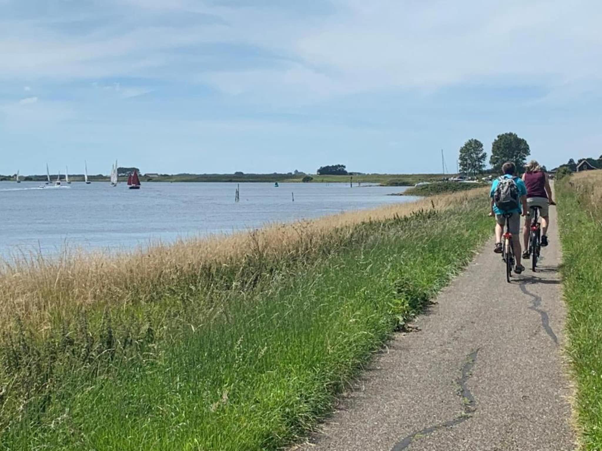 Oostkapelseweg 32 -Ooievaar in Serooskerke - Foto 32 van 36