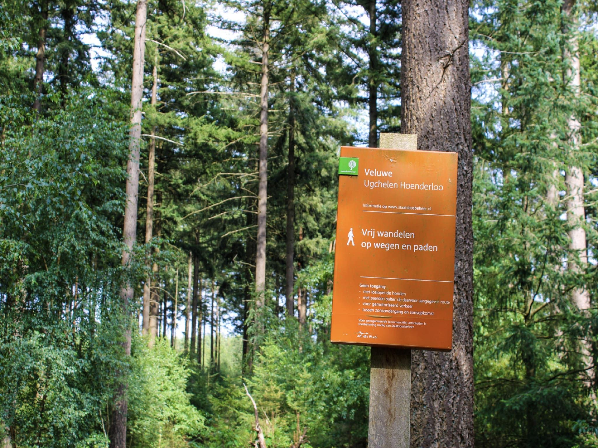 Parkfaciliteiten bij Vakantiepark De Rimboe & De Woeste Hoogte 13 in Hoenderloo