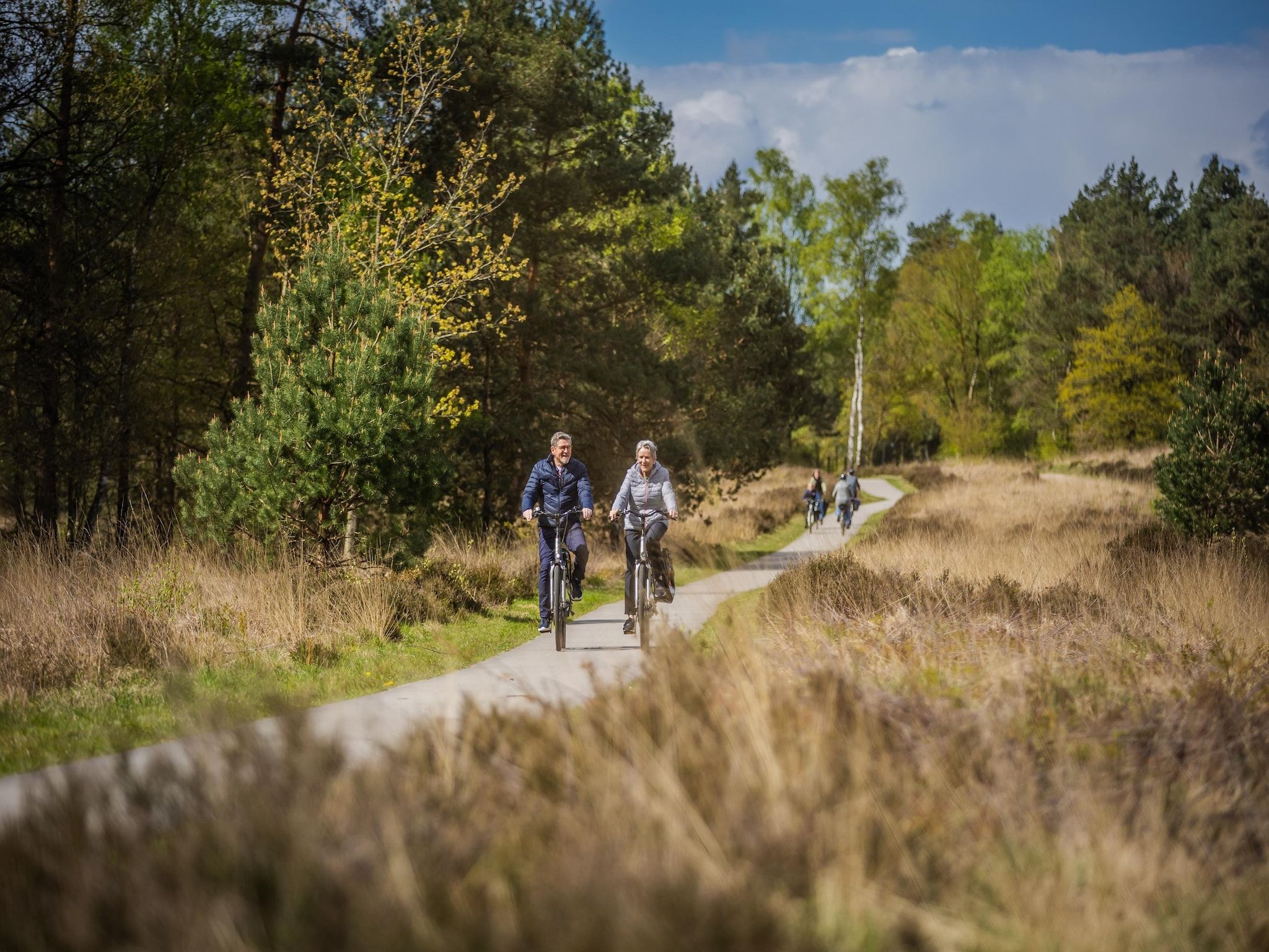 Vakantiepark De Rimboe & De Woeste Hoogte 13 in Hoenderloo - Foto 33 van 40