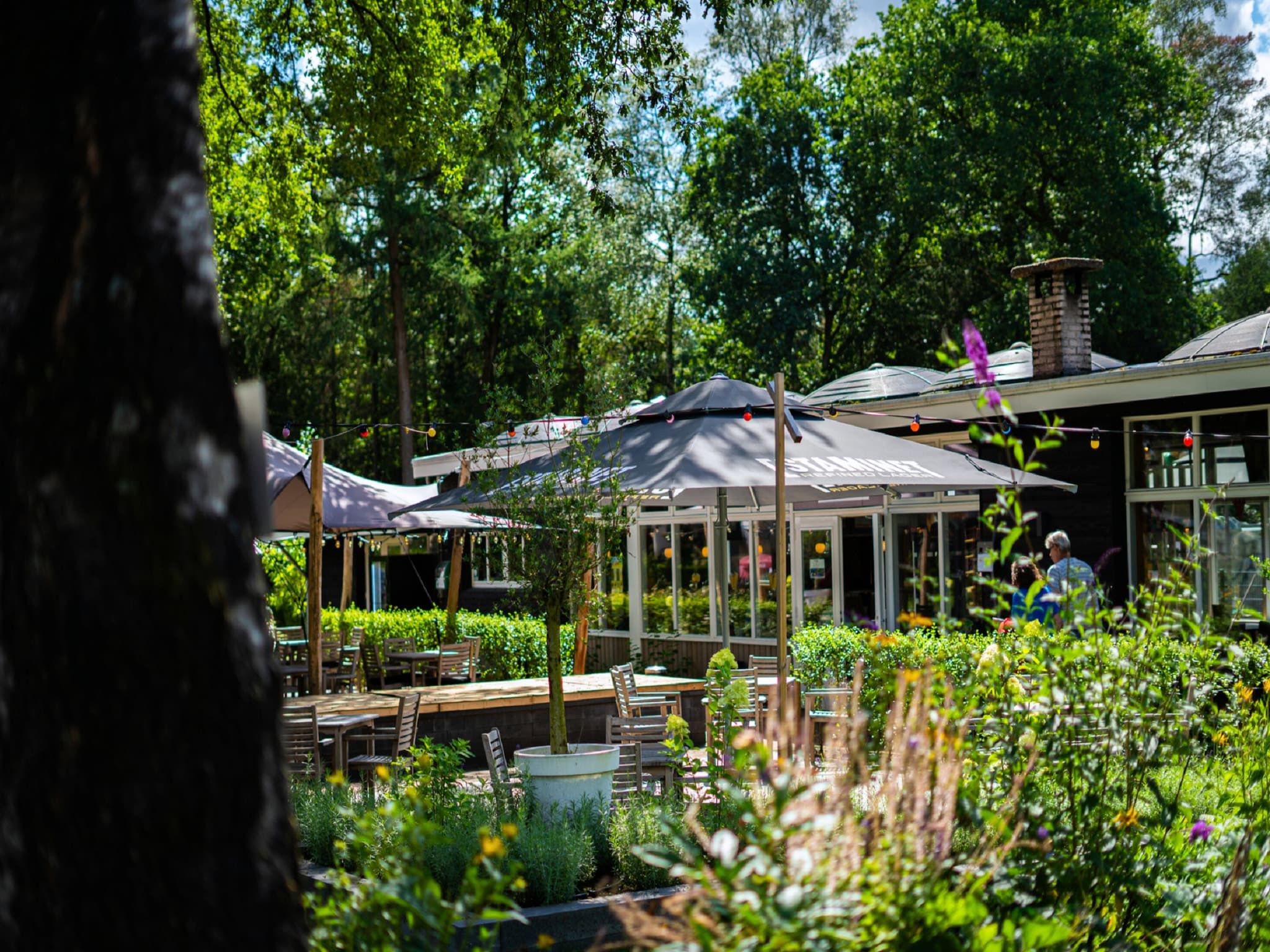 Parkfaciliteiten bij Vakantiepark De Rimboe & De Woeste Hoogte 13 in Hoenderloo