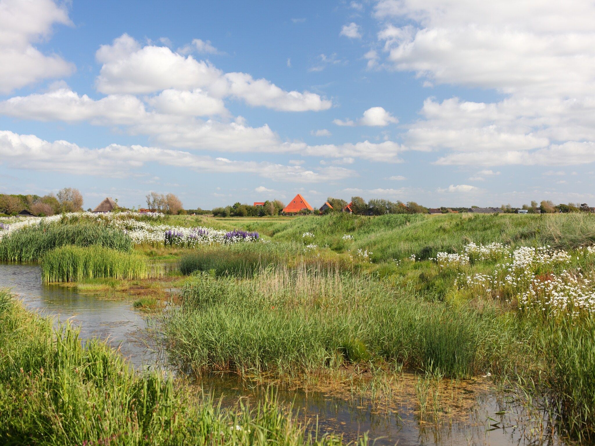 De omgeving van Vakantiepark Callassande 4 in Callantsoog