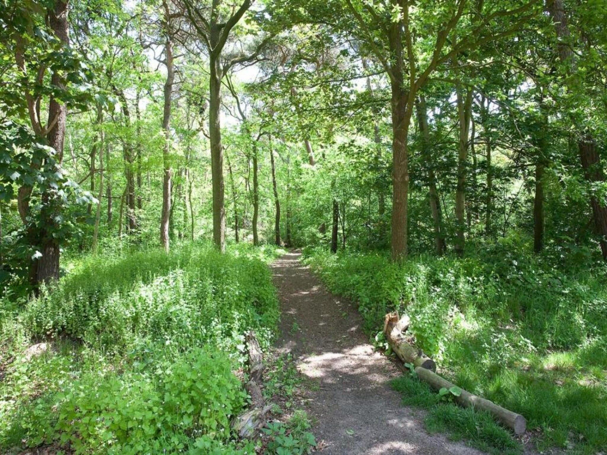 De omgeving van Vakantiepark de Katjeskelder 19 in Oosterhout
