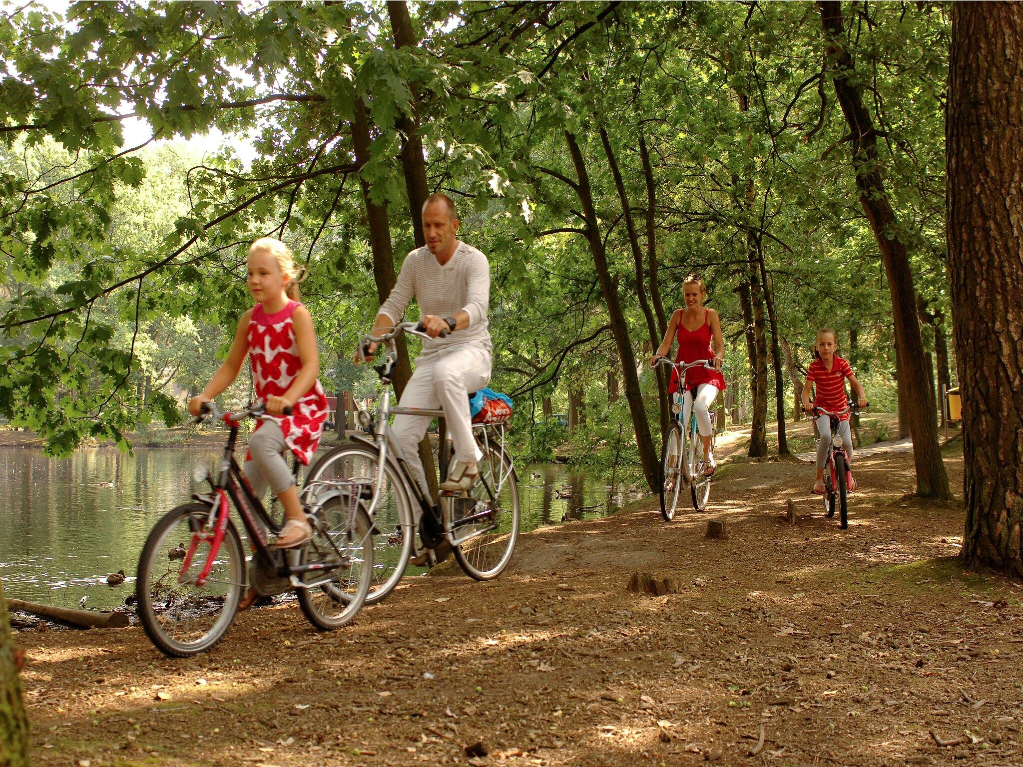 Parkfaciliteiten bij Bospark 't Wolfsven 12 in Mierlo