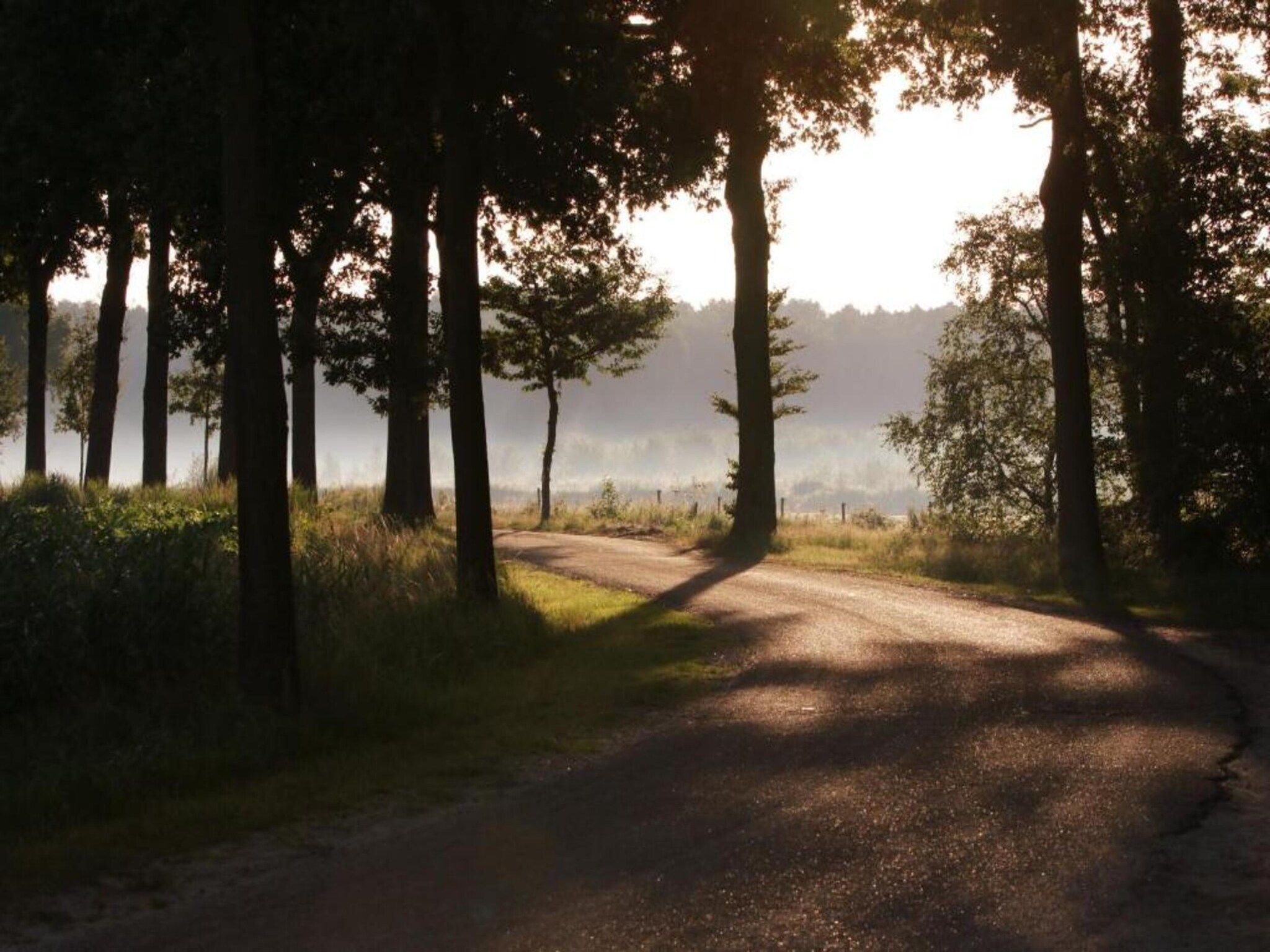 De omgeving van Bospark 't Wolfsven 12 in Mierlo
