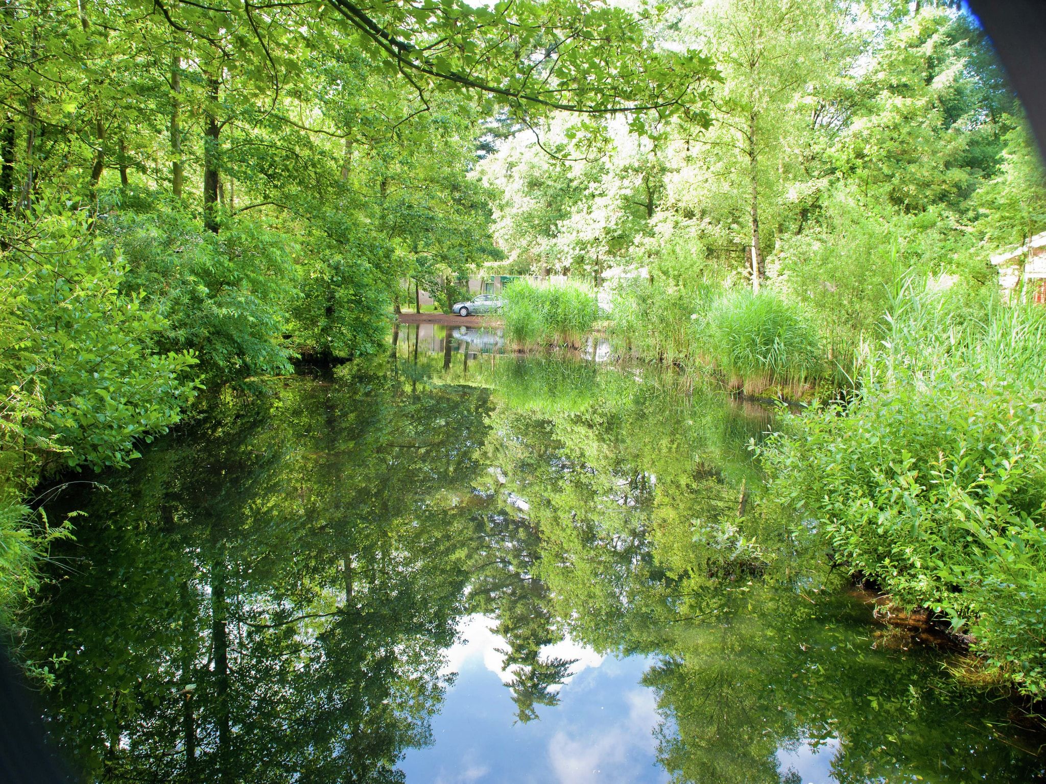 De omgeving van Vakantiepark de Berkenhorst 10 in Kootwijk