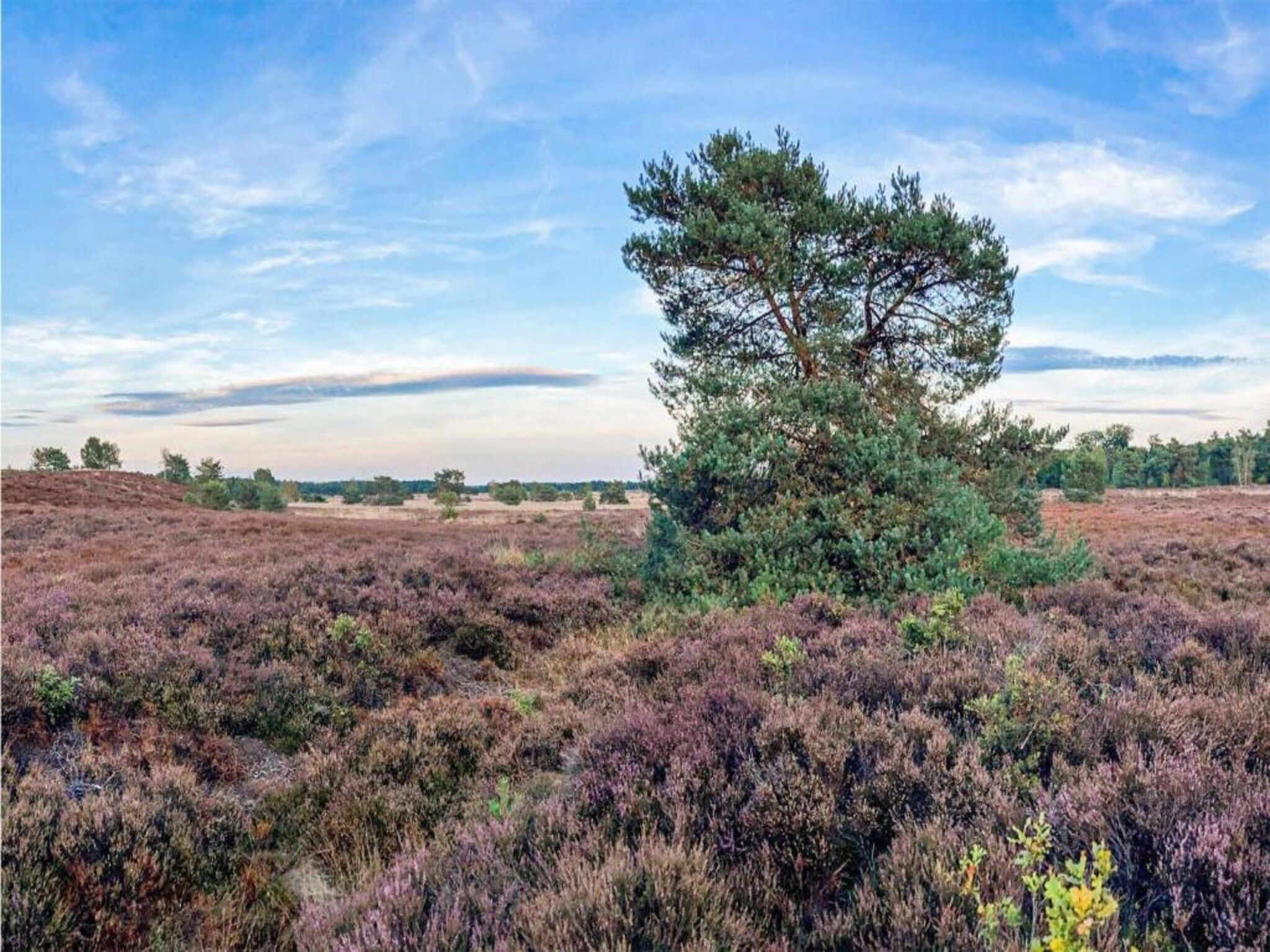 De omgeving van De Veluwse Hoevegaerde 1 in Putten