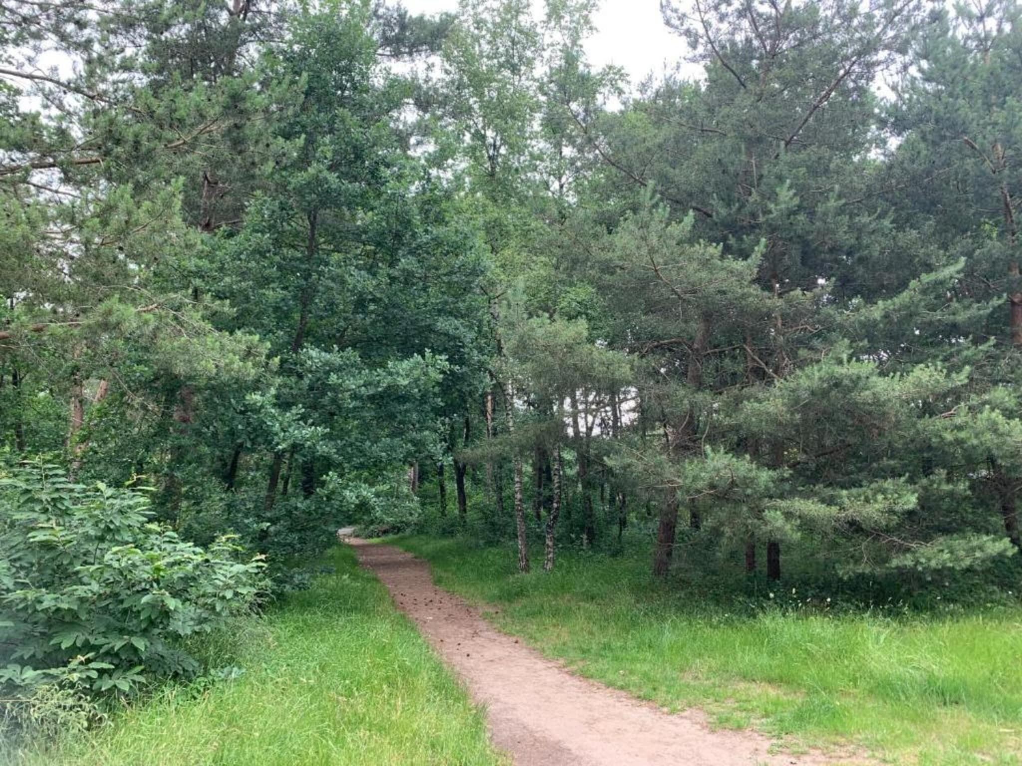 De omgeving van De Veluwse Hoevegaerde 2 in Putten