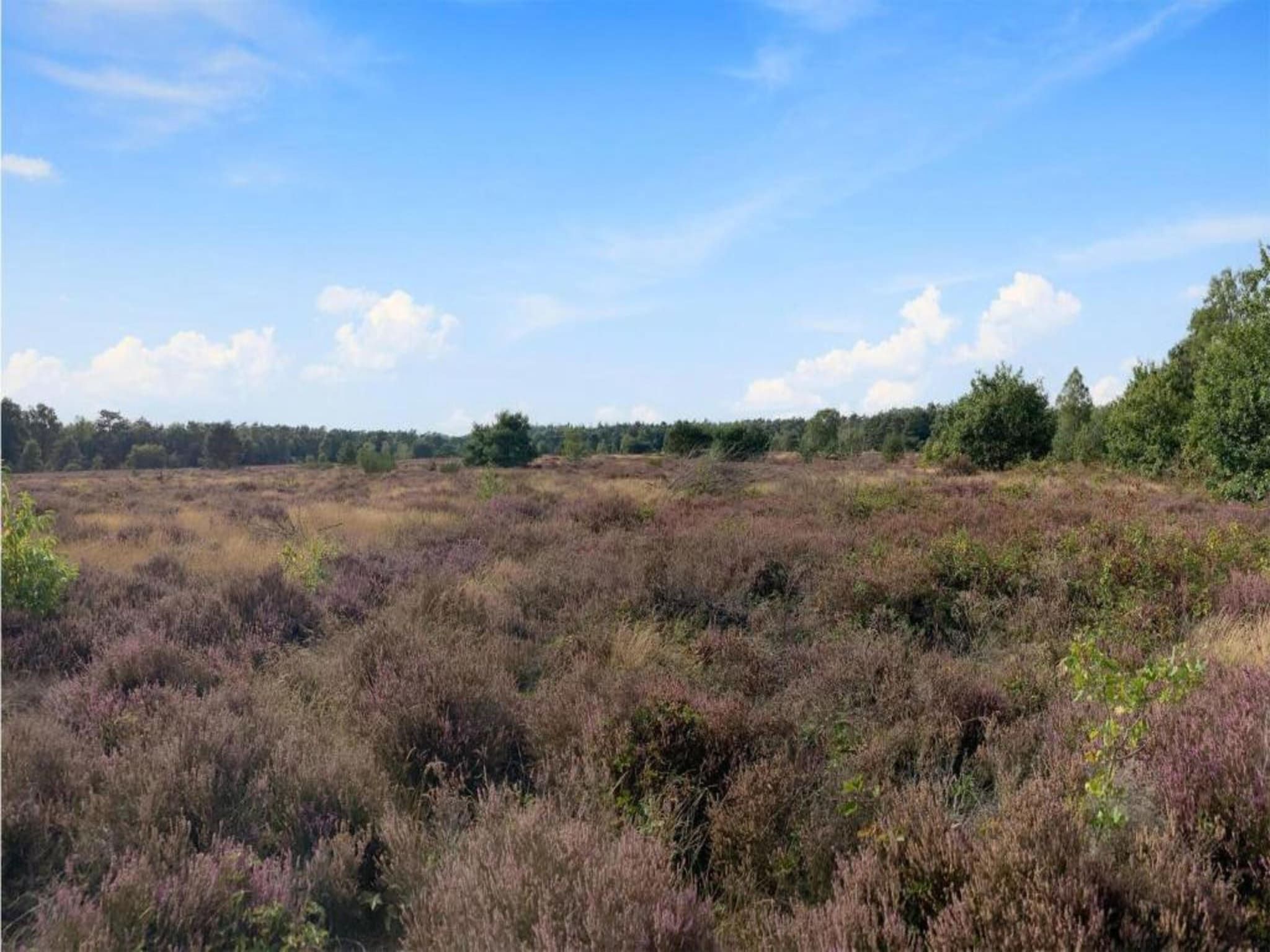 De omgeving van De Veluwse Hoevegaerde 2 in Putten