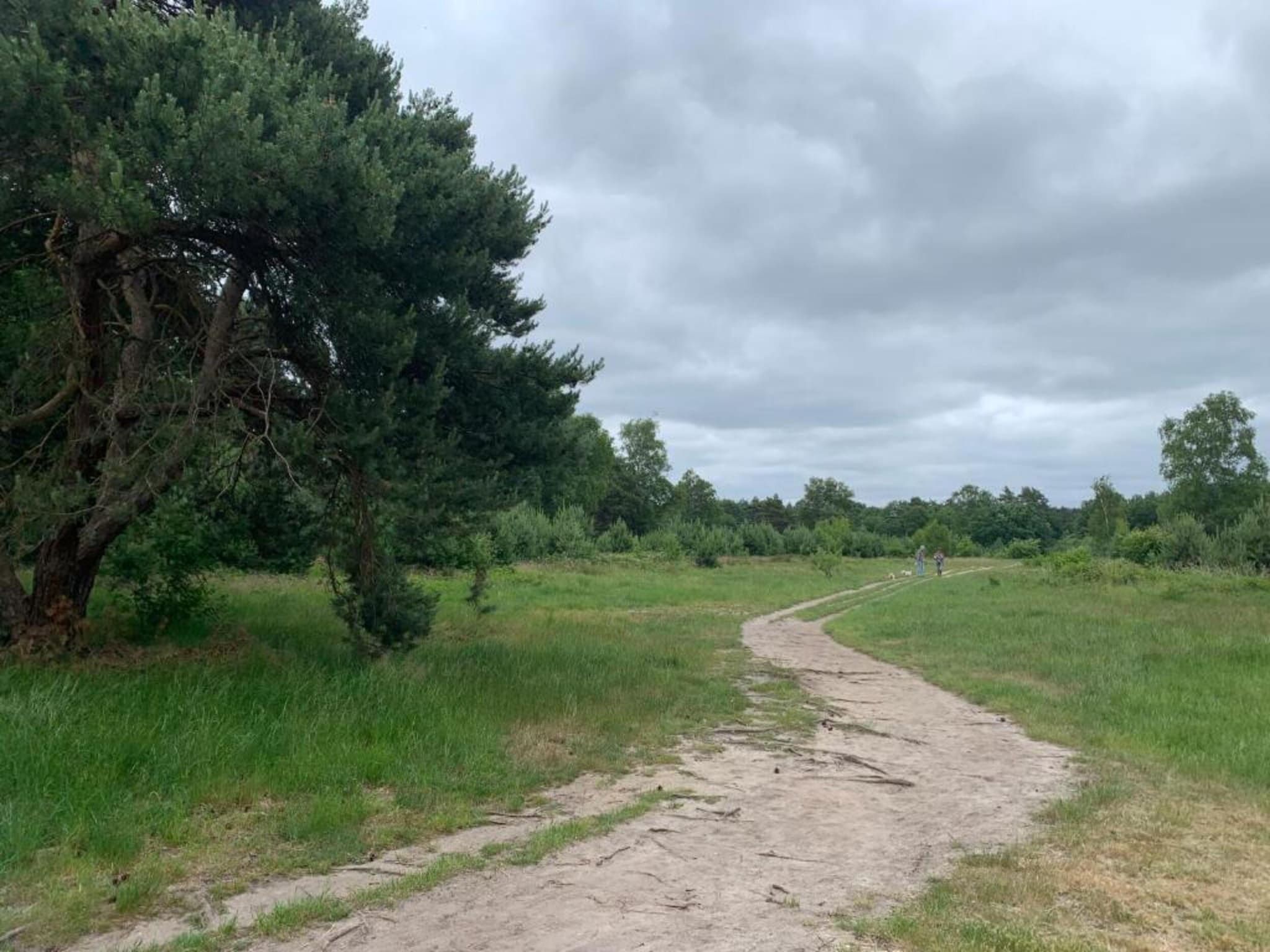 De omgeving van De Veluwse Hoevegaerde 2 in Putten