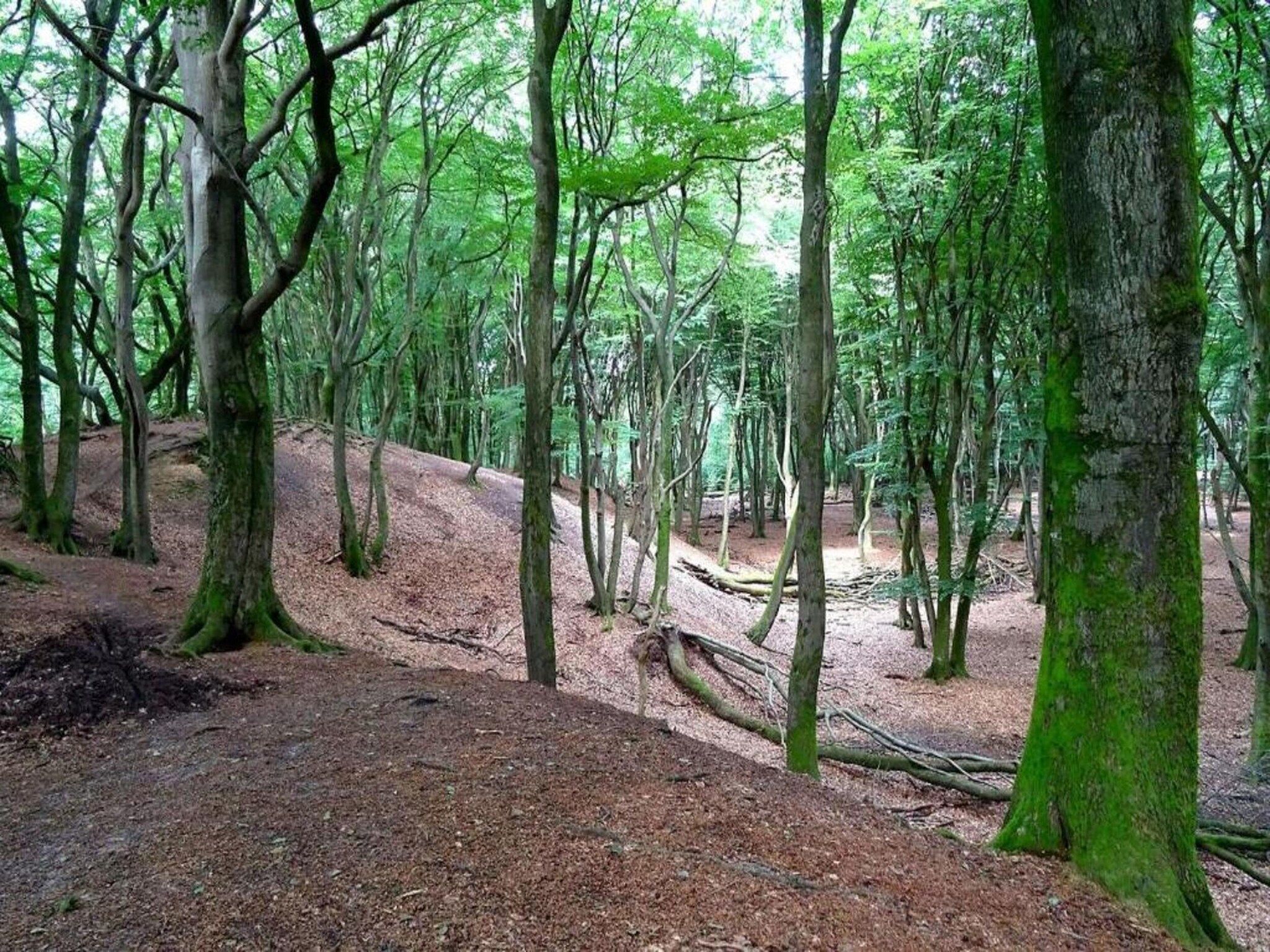De omgeving van De Veluwse Hoevegaerde 2 in Putten