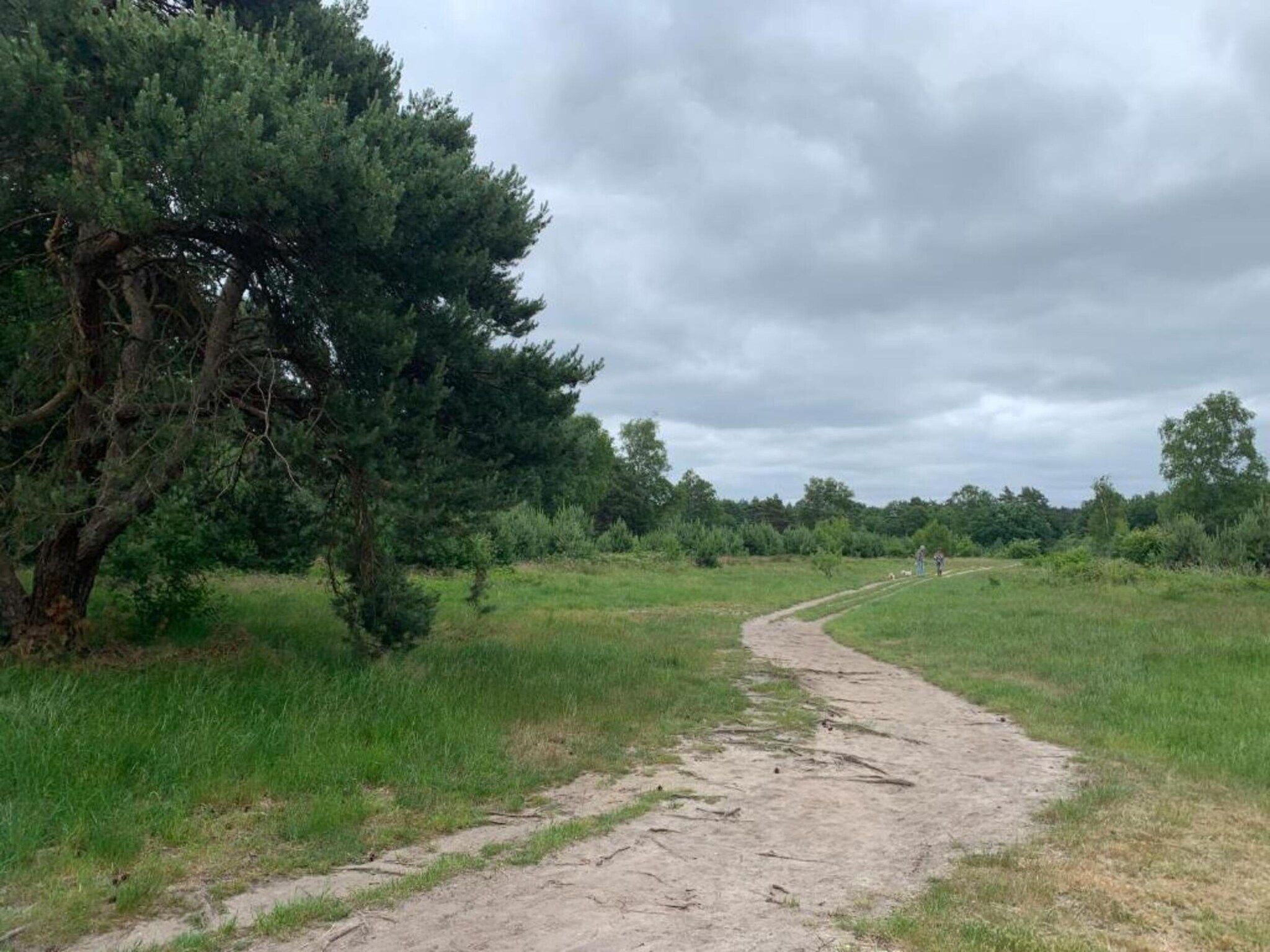 De omgeving van De Veluwse Hoevegaerde 4 in Putten