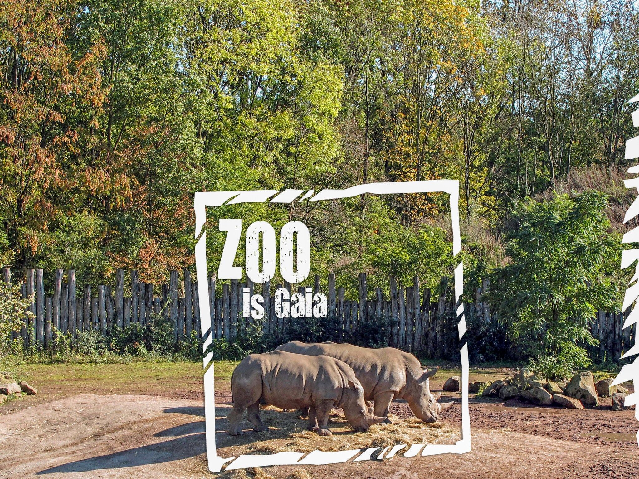 Sfeerbeeld van Casa Acacia in Landgraaf