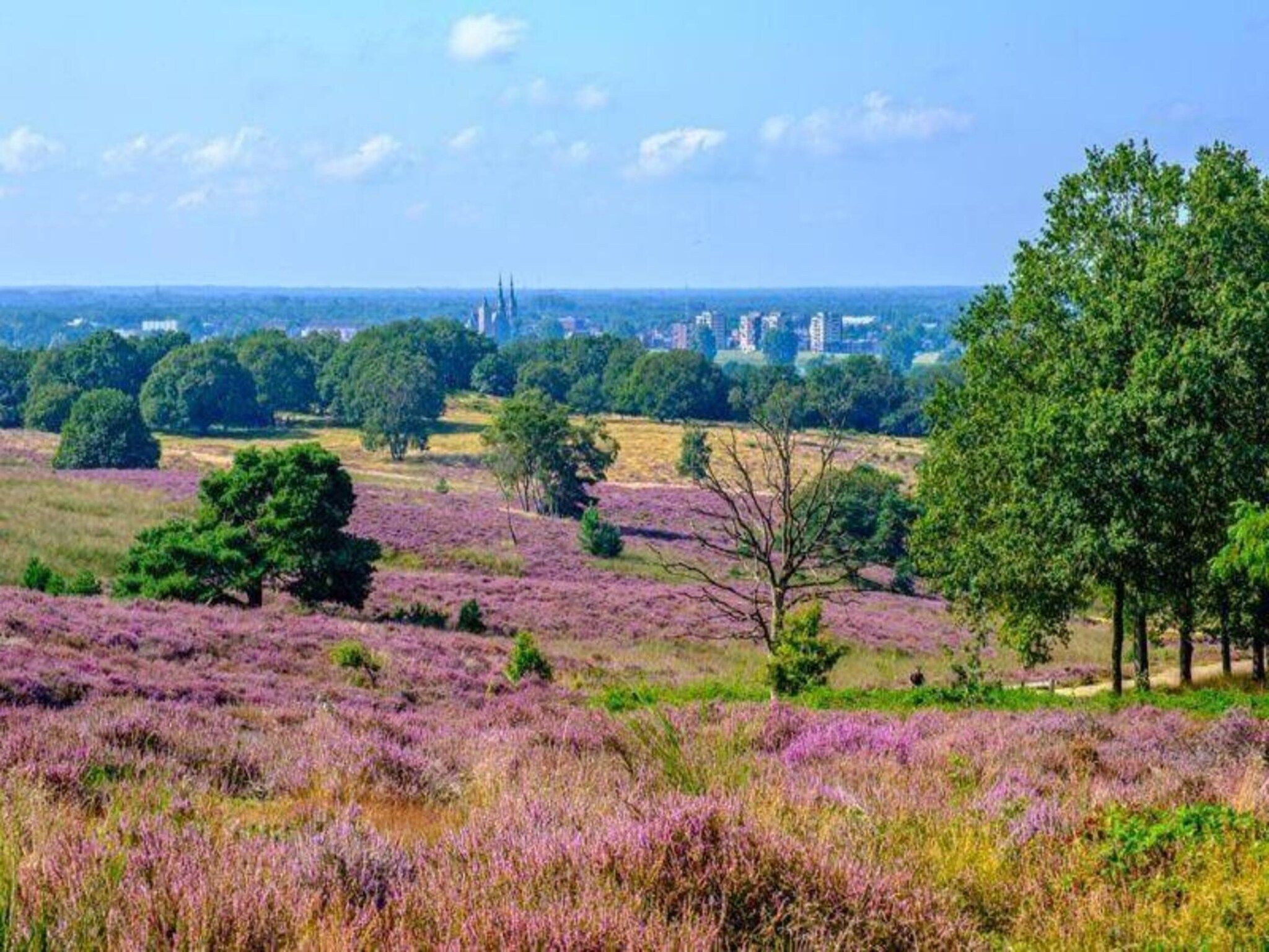 Vakantie bij Meeussen - Schuttersoord 2 in Mook - Foto 31 van 40