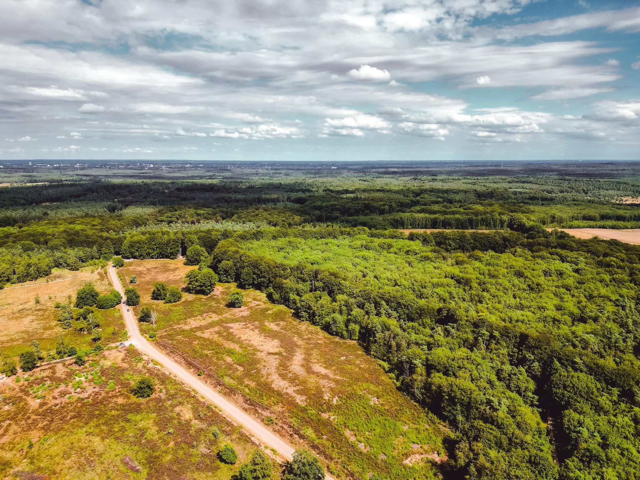 De omgeving van Bospark de Schaapskooi 9 in Wissel/Epe