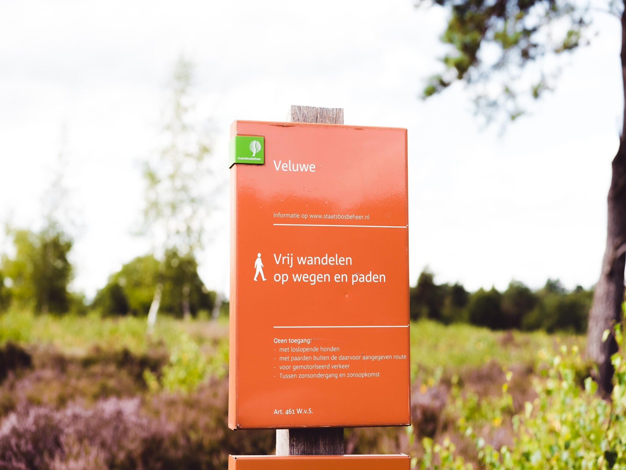 De omgeving van Bospark de Schaapskooi 9 in Wissel/Epe