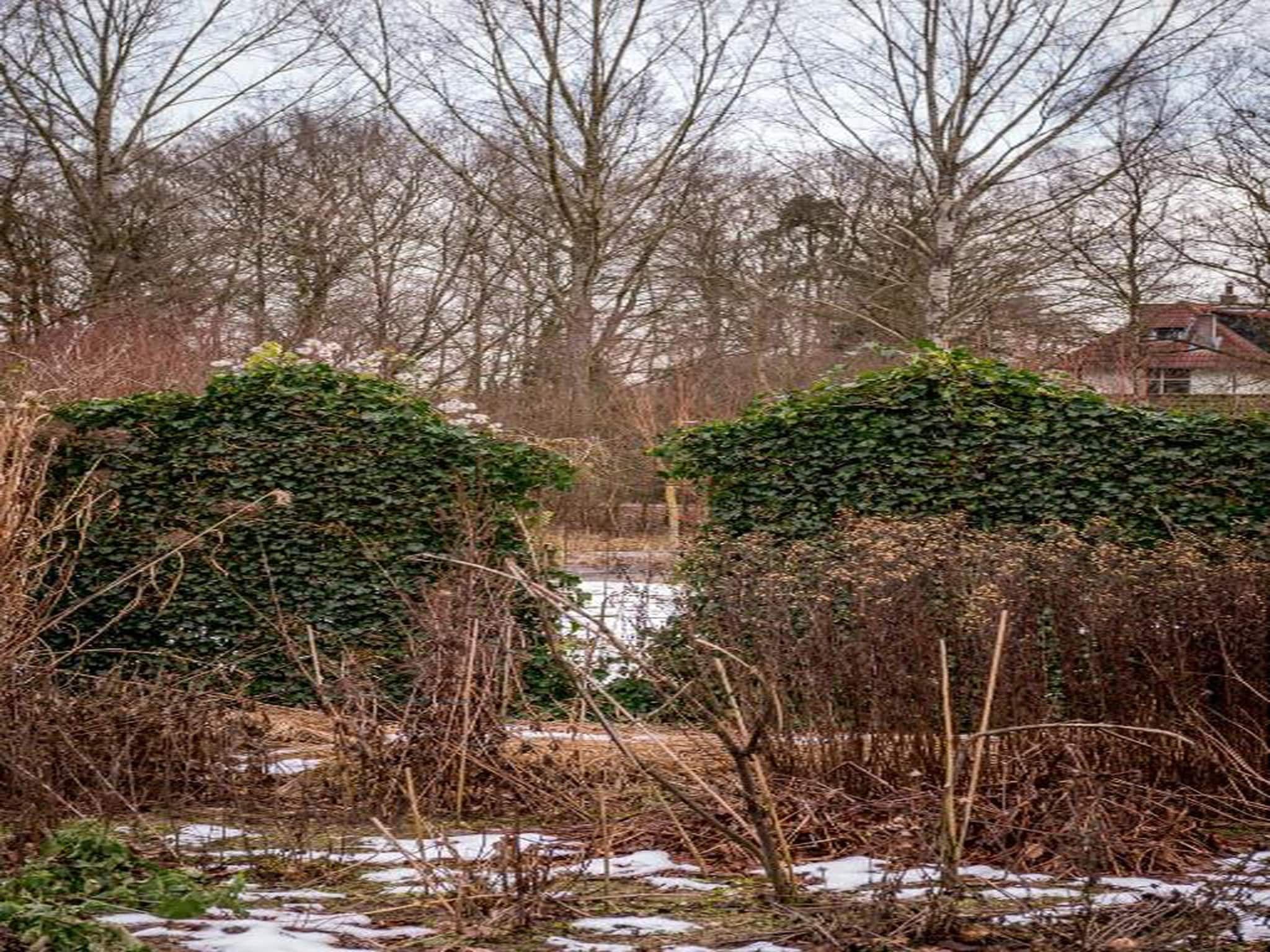 Bospark de Schaapskooi 9 in Wissel/Epe - Foto 38 van 39