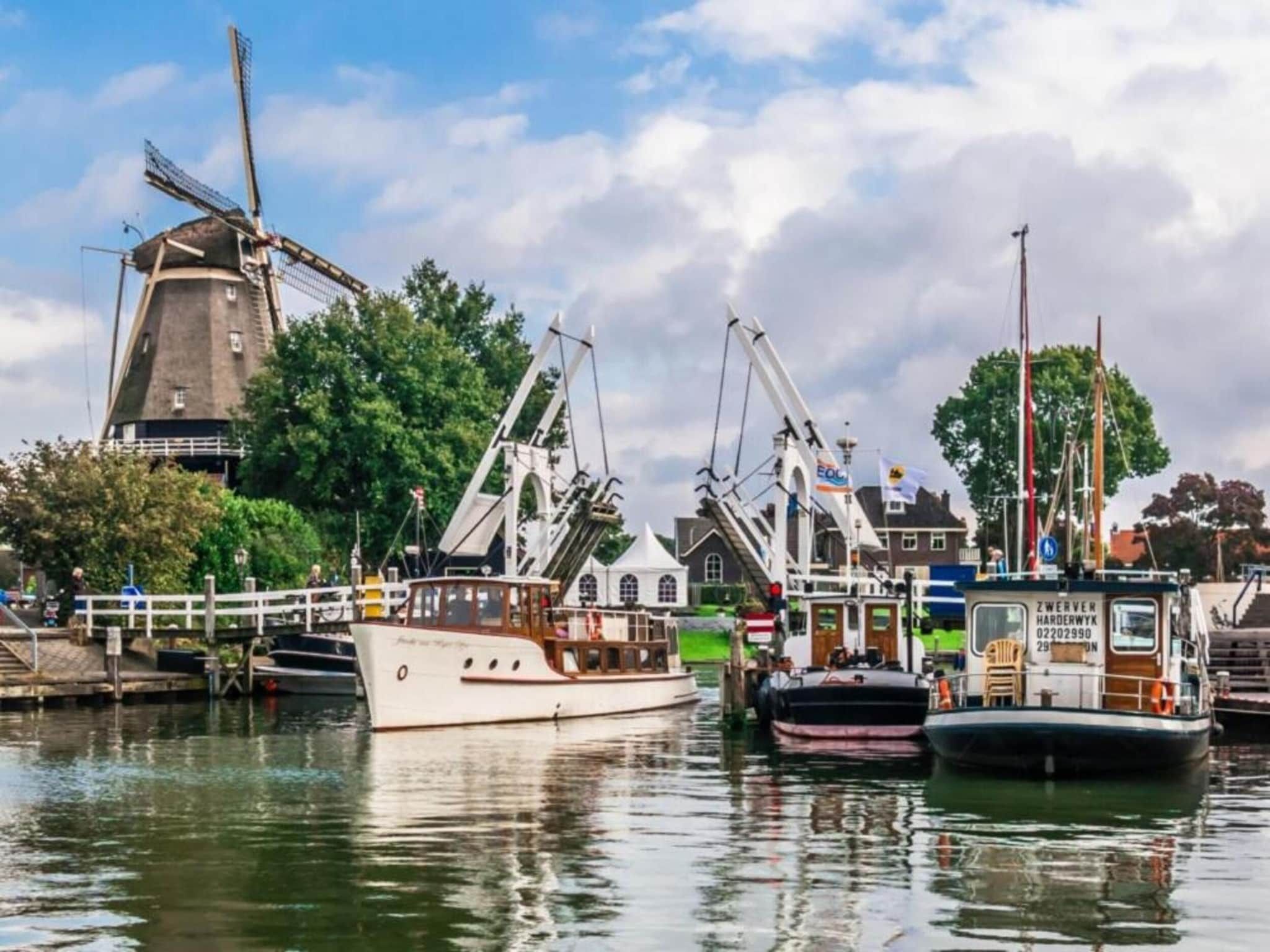 De Trots van de Konijnenberg in Harderwijk - Foto 29 van 40