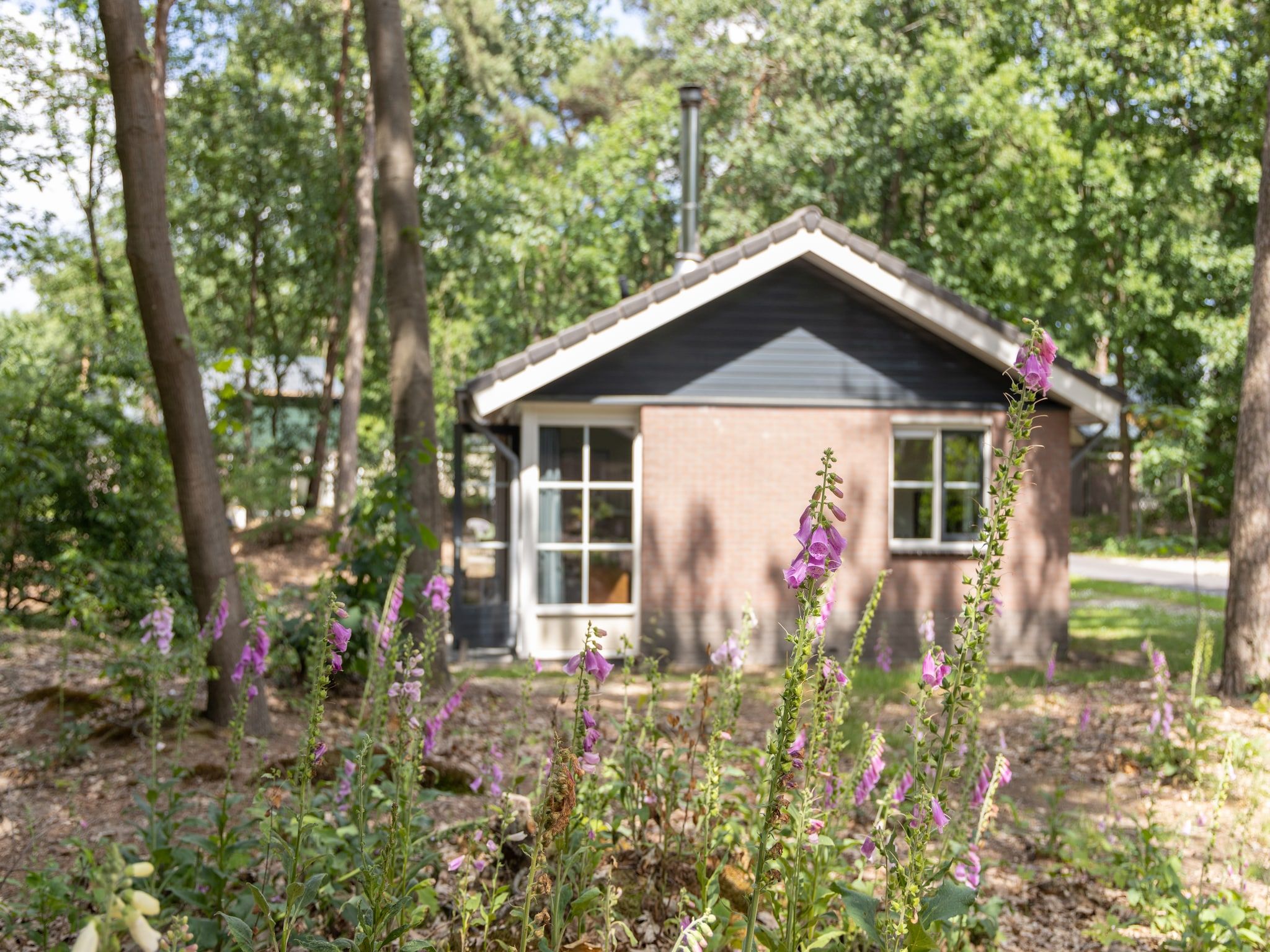 De buitenkant van Park De Peel 4 in Vlierden