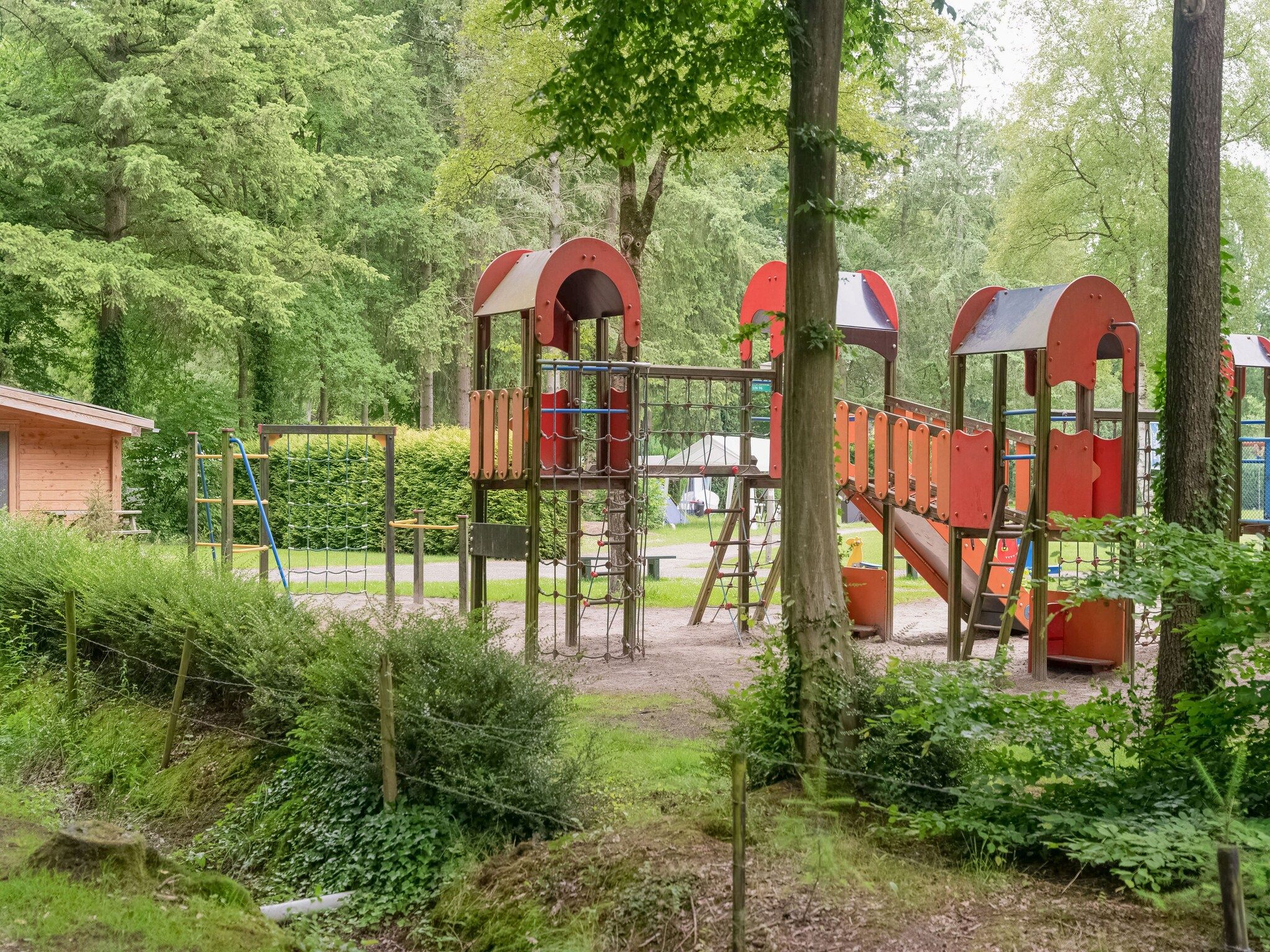 De tuin van Chalet in Vledder in Vledder