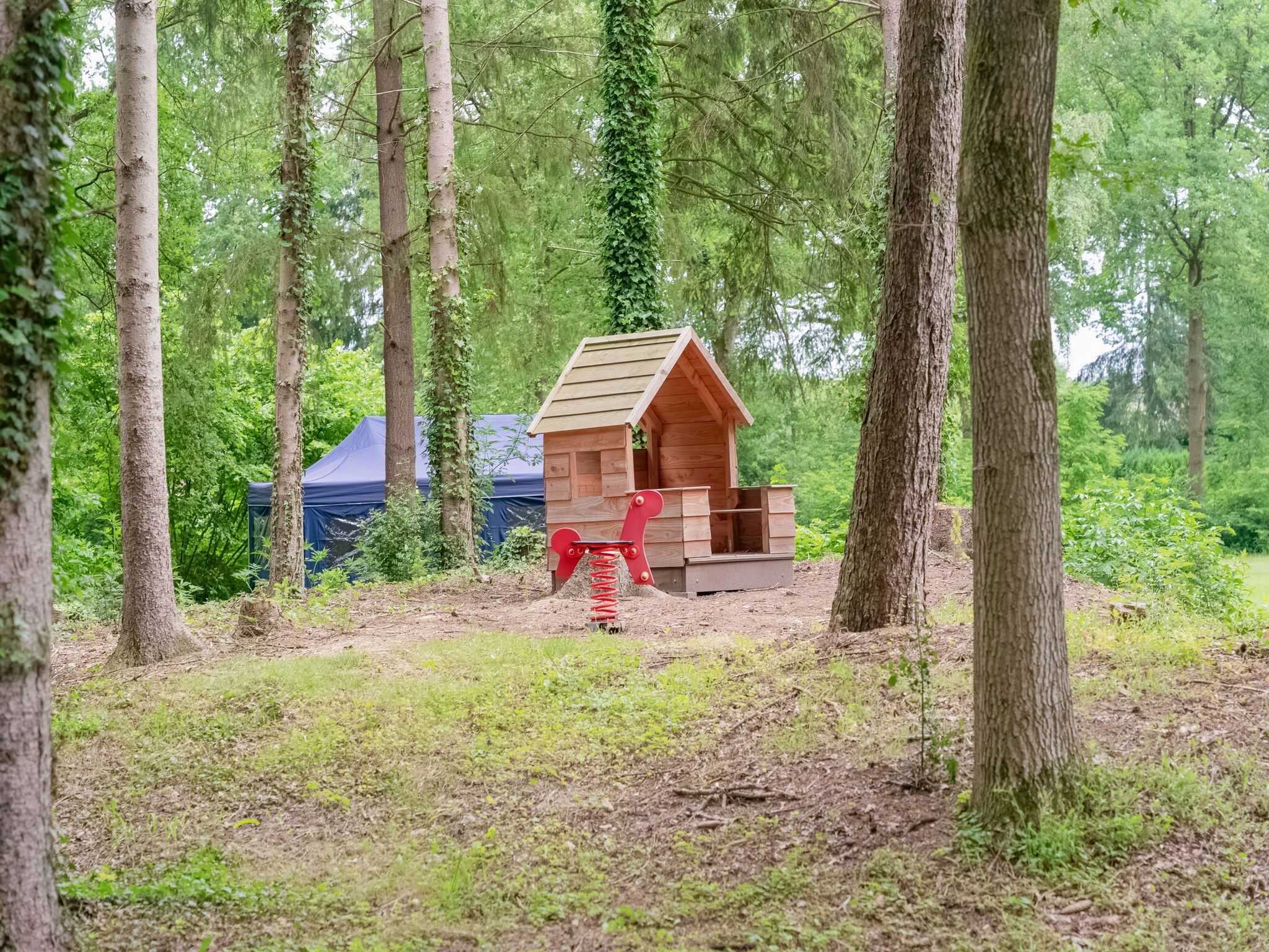 De tuin van Chalet in Vledder in Vledder