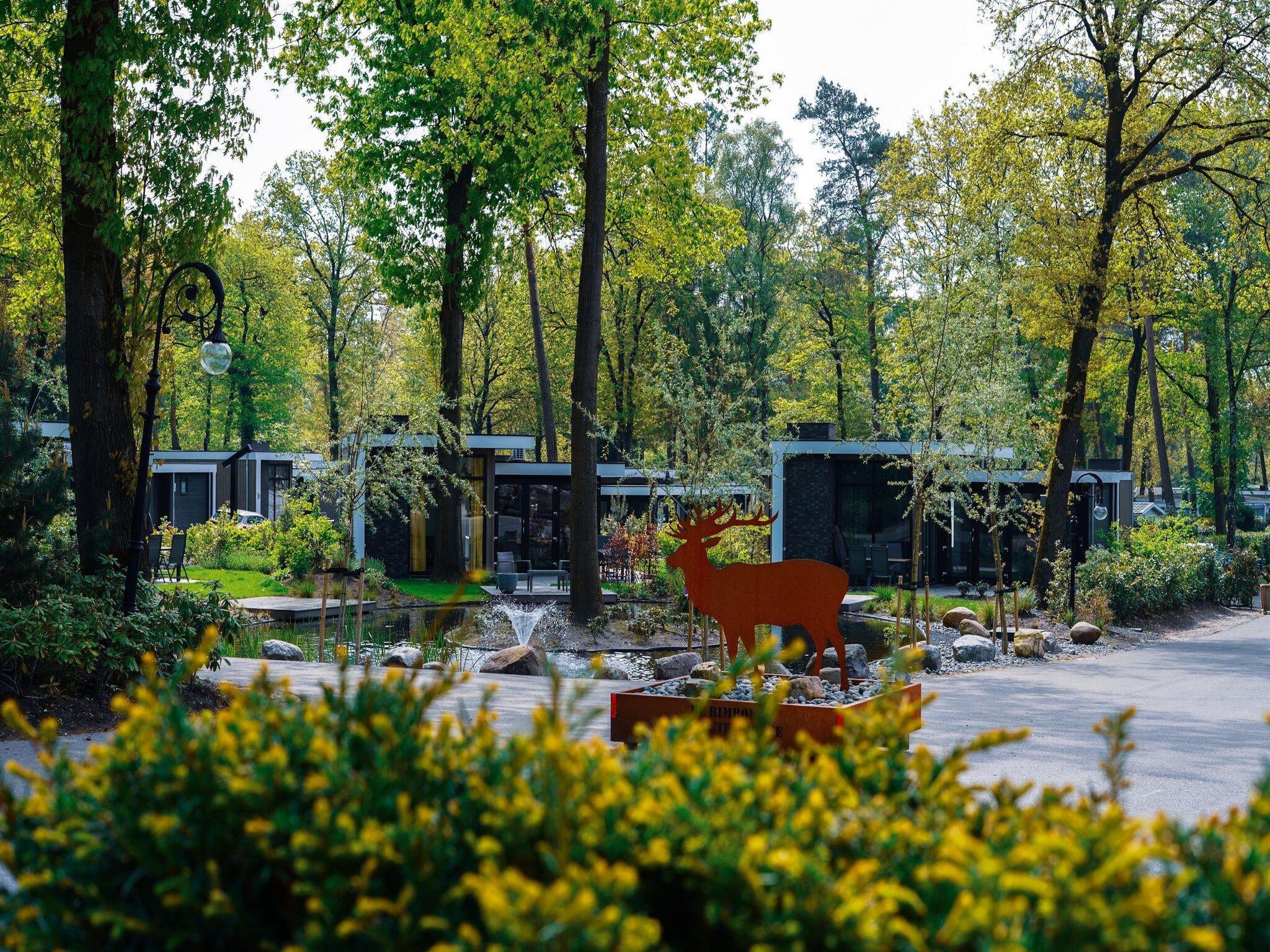 Parkfaciliteiten bij Vakantiepark De Rimboe & De Woeste Hoogte 21 in Hoenderloo