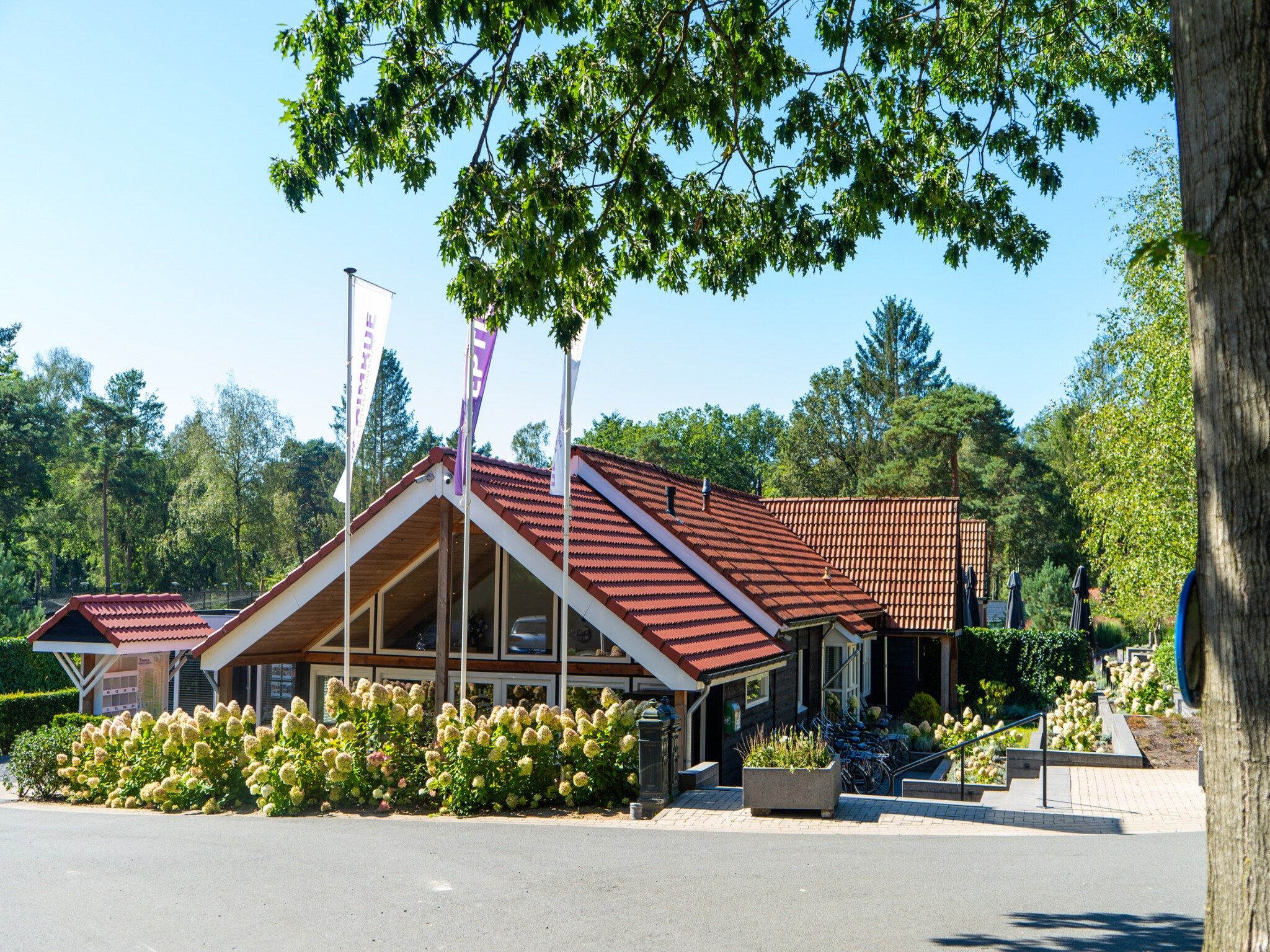 Parkfaciliteiten bij Vakantiepark De Rimboe & De Woeste Hoogte 24 in Hoenderloo