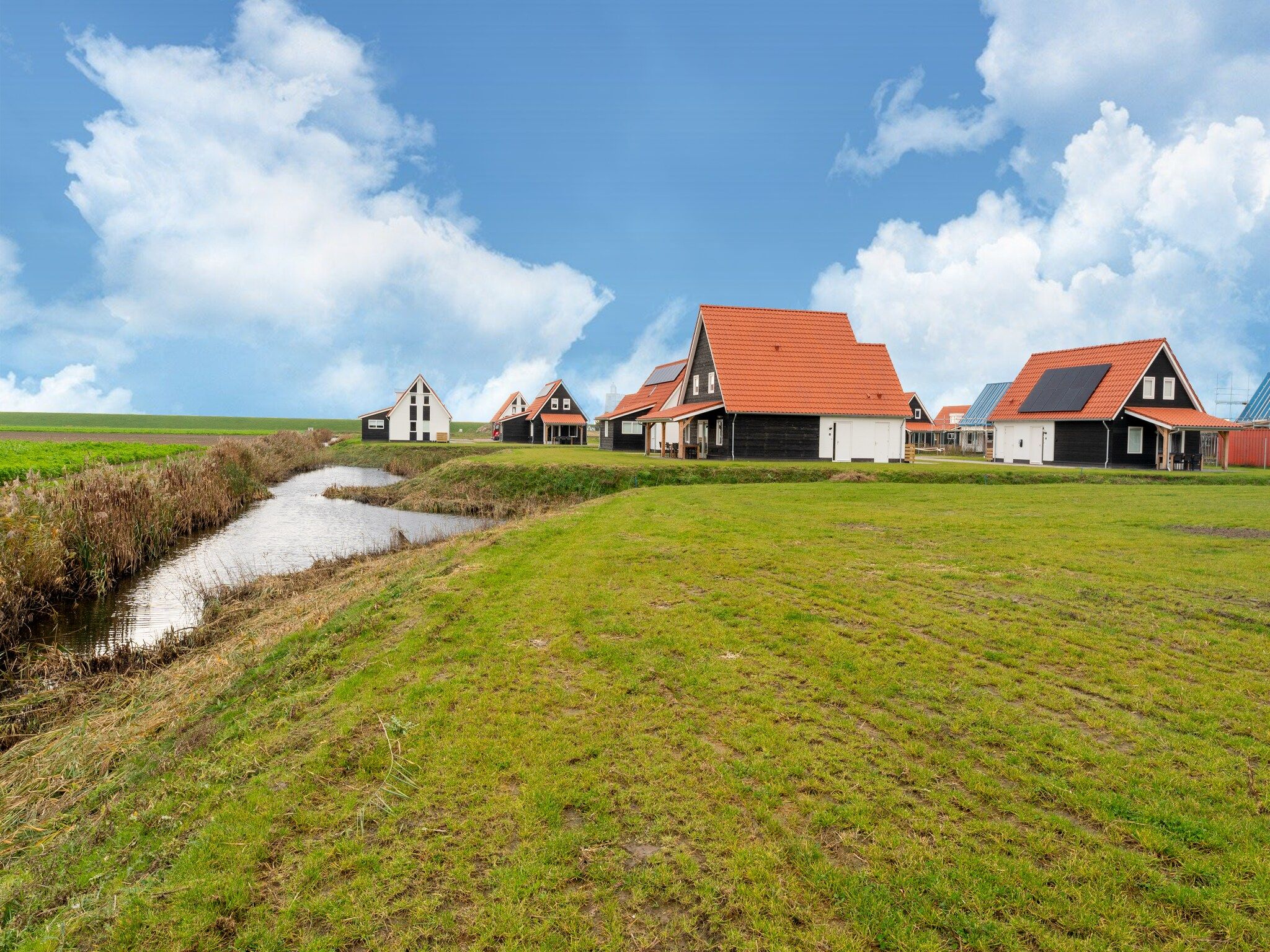 De tuin van De Kokmeeuw Huis Nr 11 in Scherpenisse