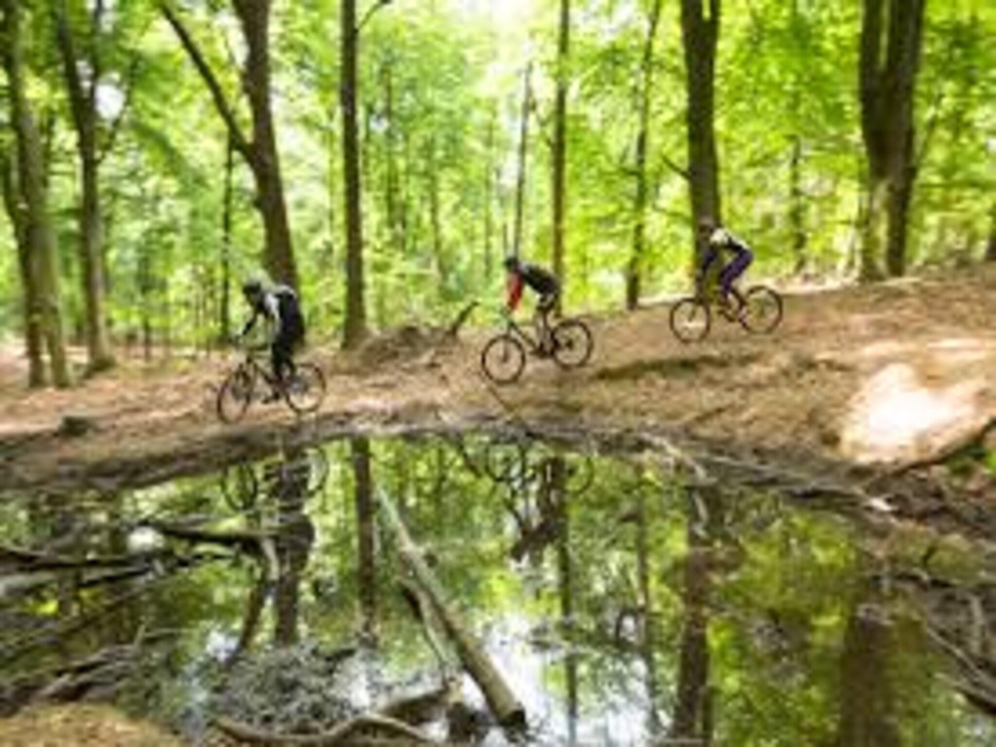 Villa Loonse Duinen in Drunen - Foto 32 van 40
