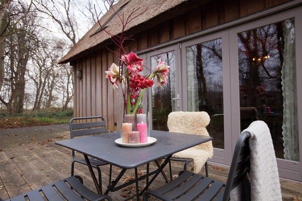 Terras - Vakantiehuis in Bergen bij bos in Bergen (5)