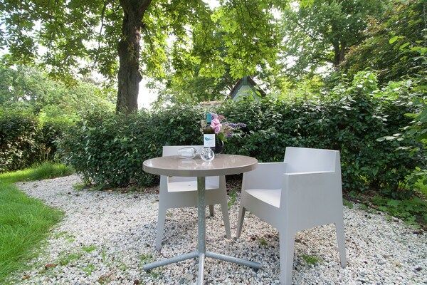 Terras - Vakantiehuis in Bergen bij het Strand in Bergen (5)