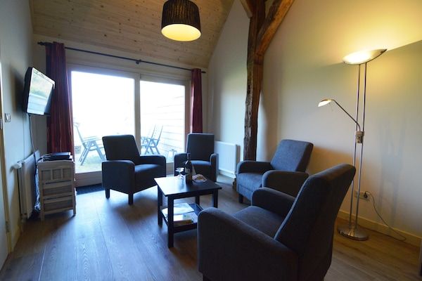 Woonkamer - Huisdiervriendelijke vakantie in Geesteren (1)